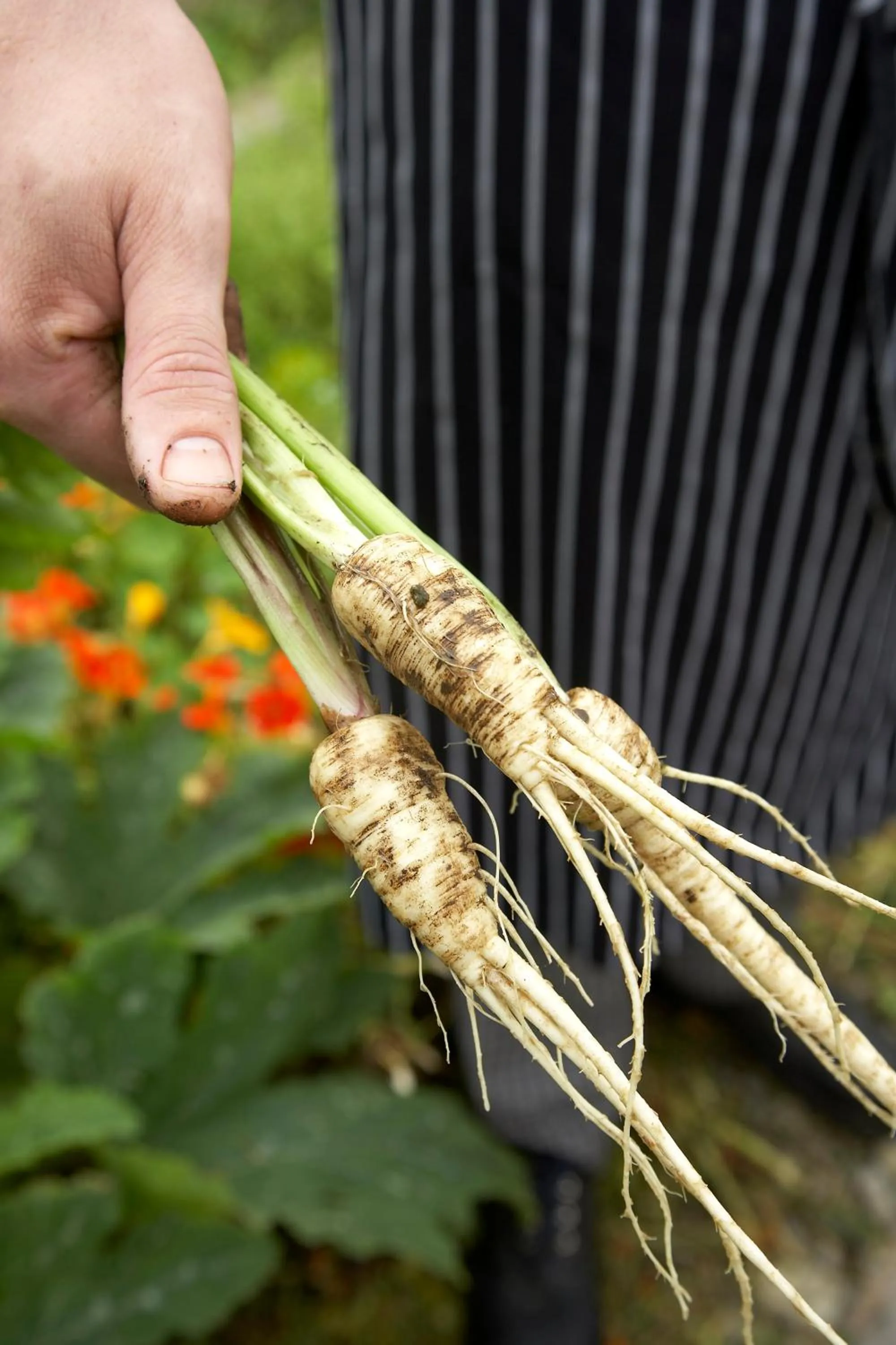 Food close-up in Cliff at Lyons