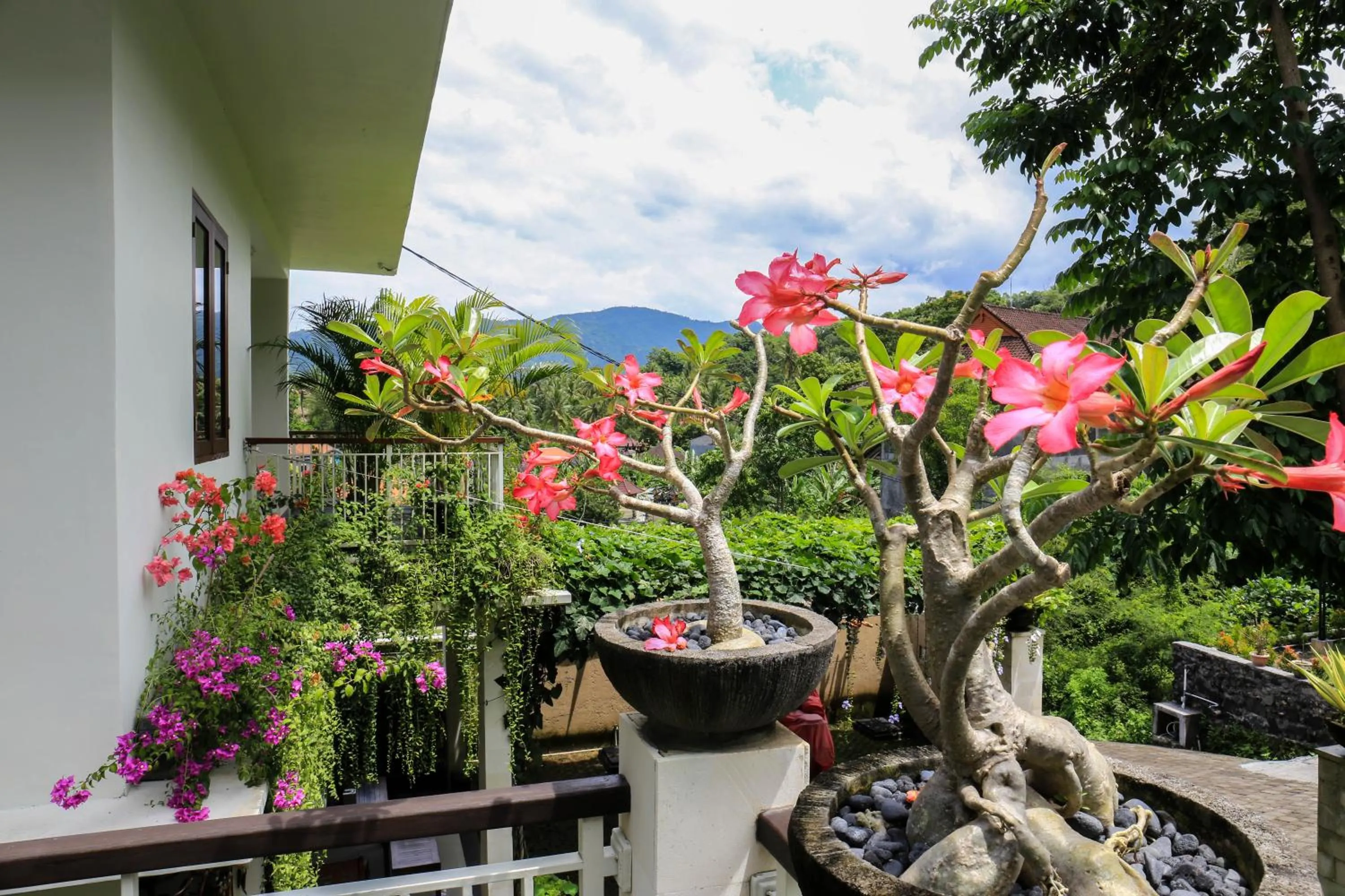 Garden in Dewi Villa Padangbai Hotel