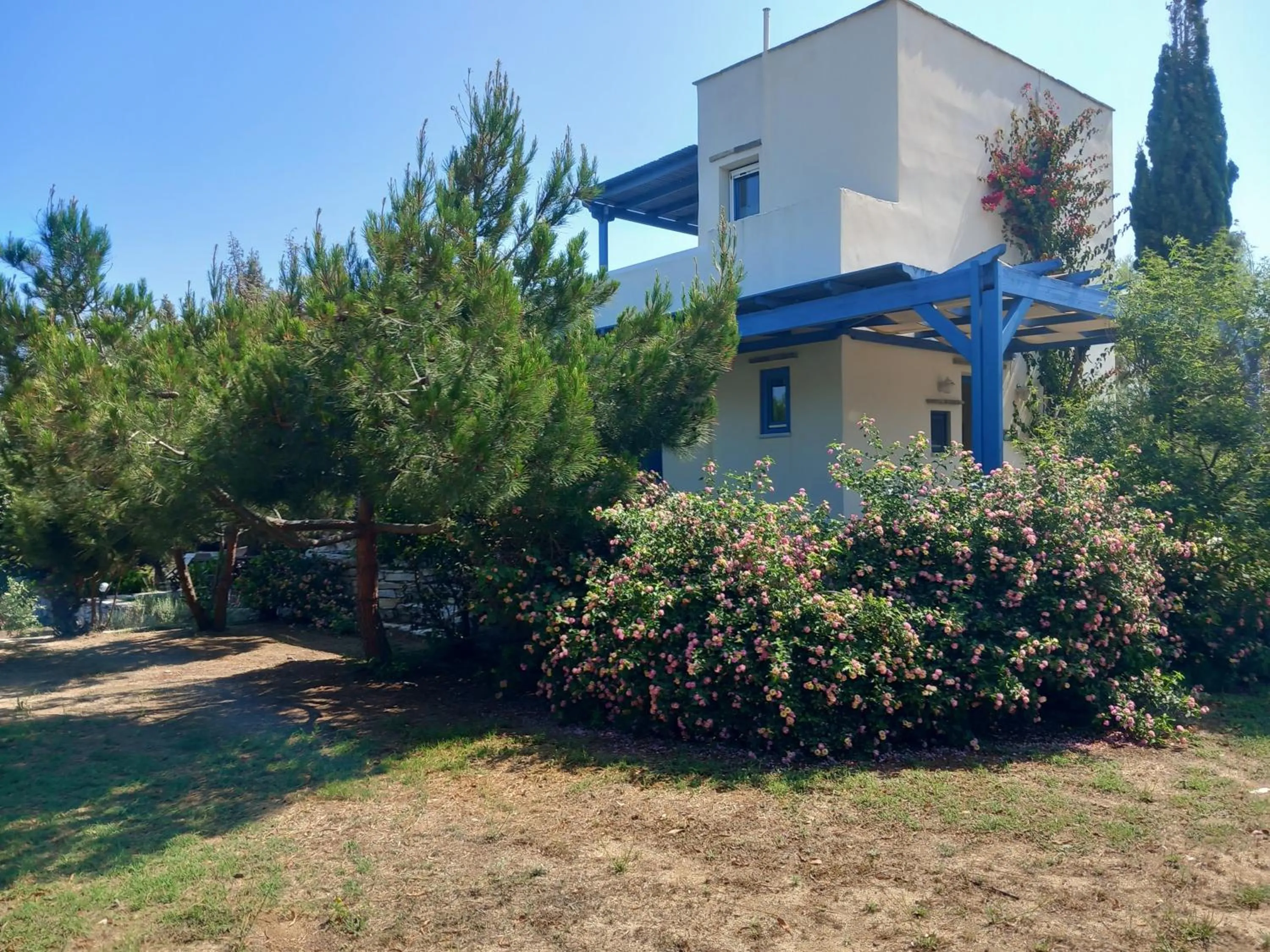 Garden in Kedros Villas