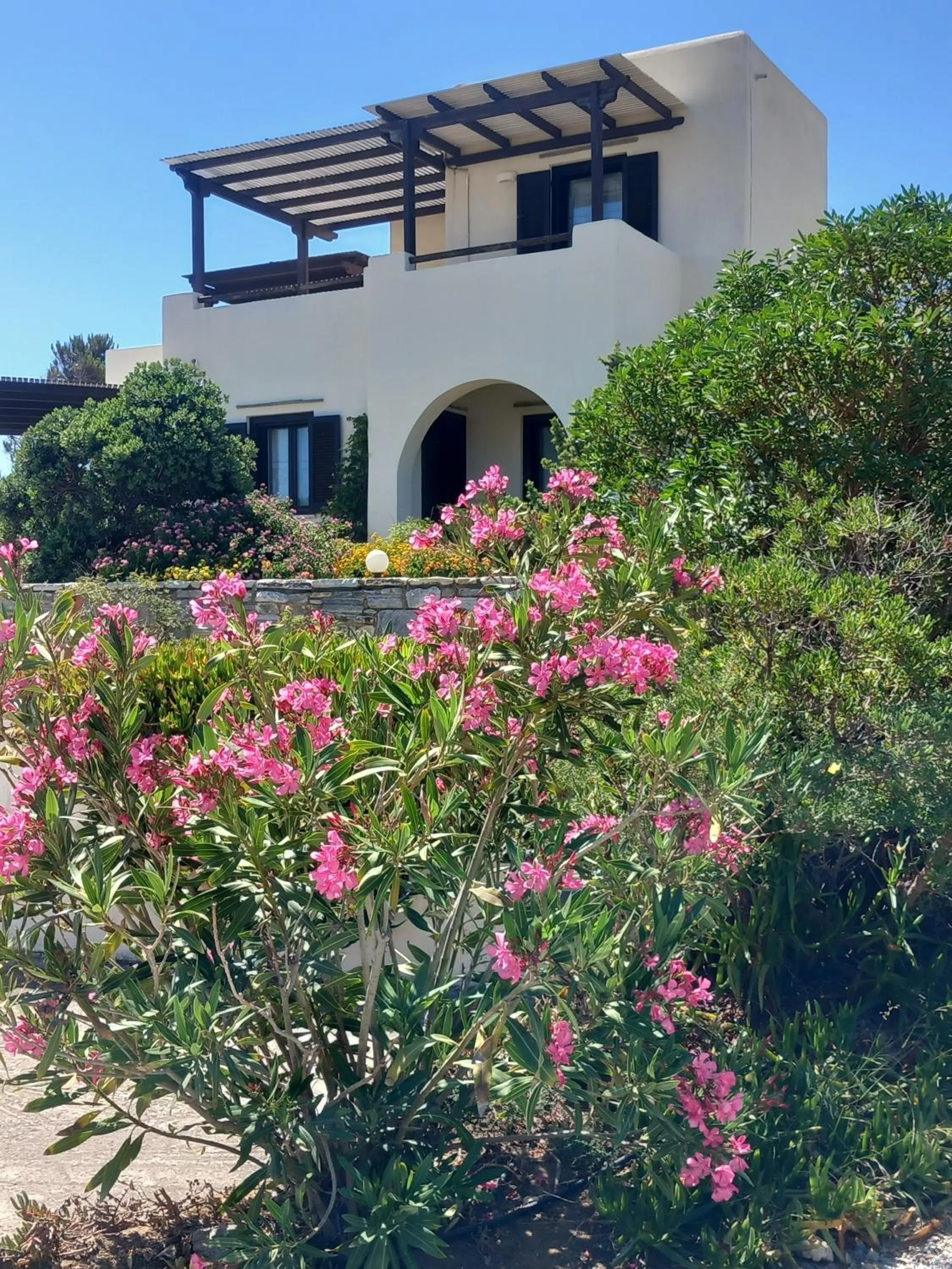 Garden in Kedros Villas