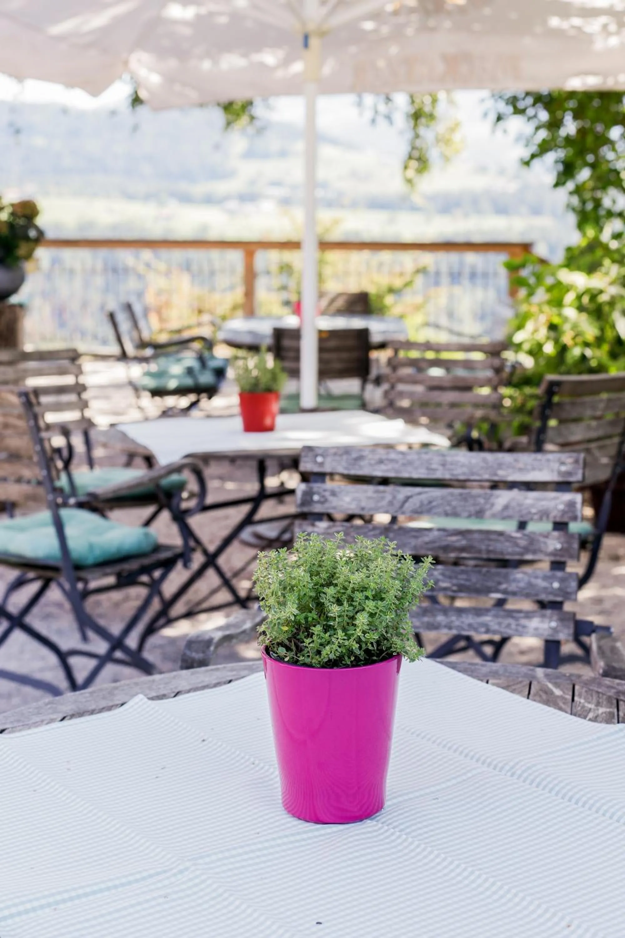 Restaurant/places to eat in Gasthof Adler