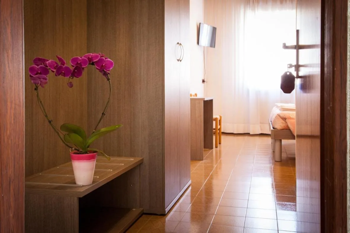 Photo of the whole room in Hotel STELLA D'ORO