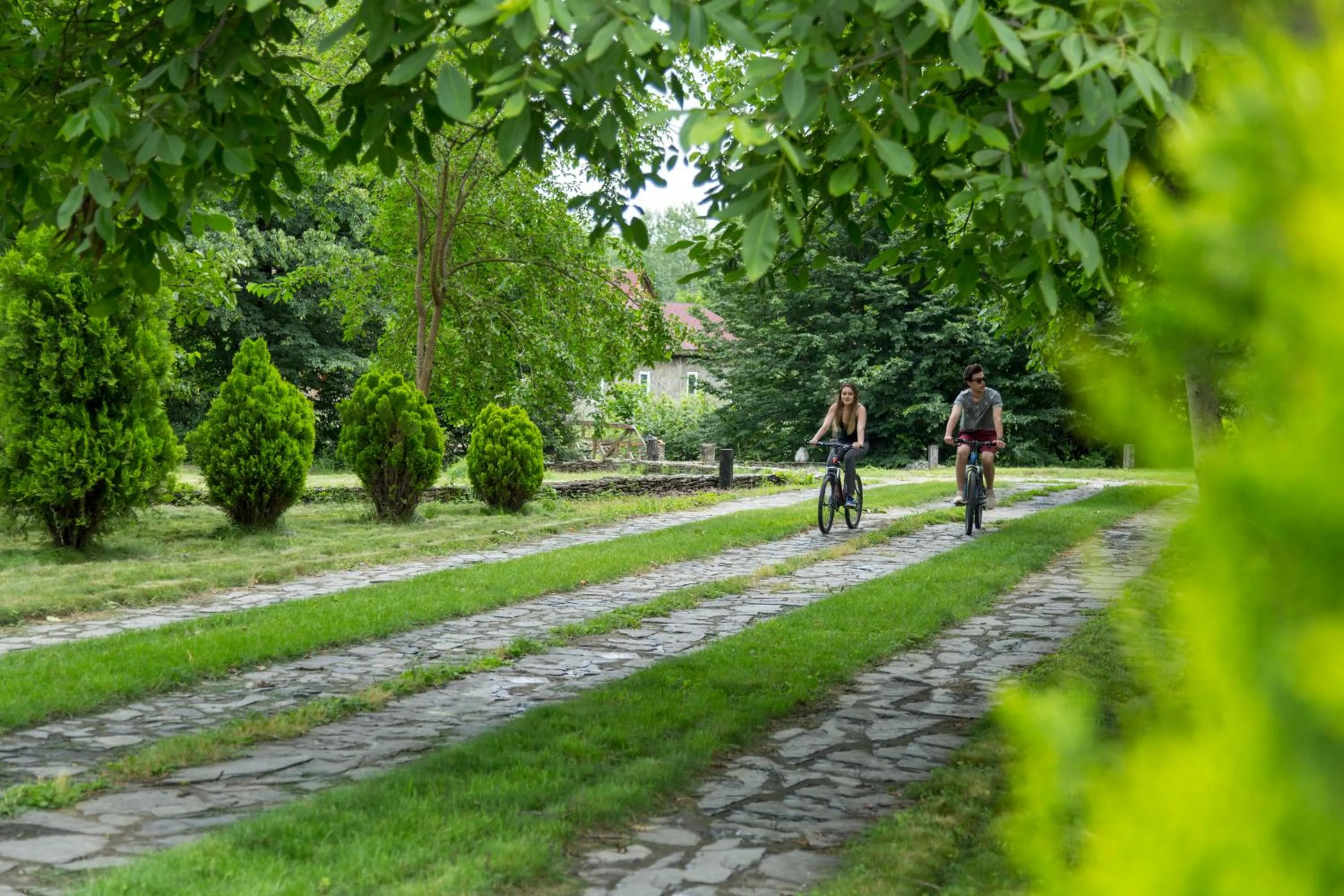 Natural landscape in Gabala Yengice Thermal Resort Hotel