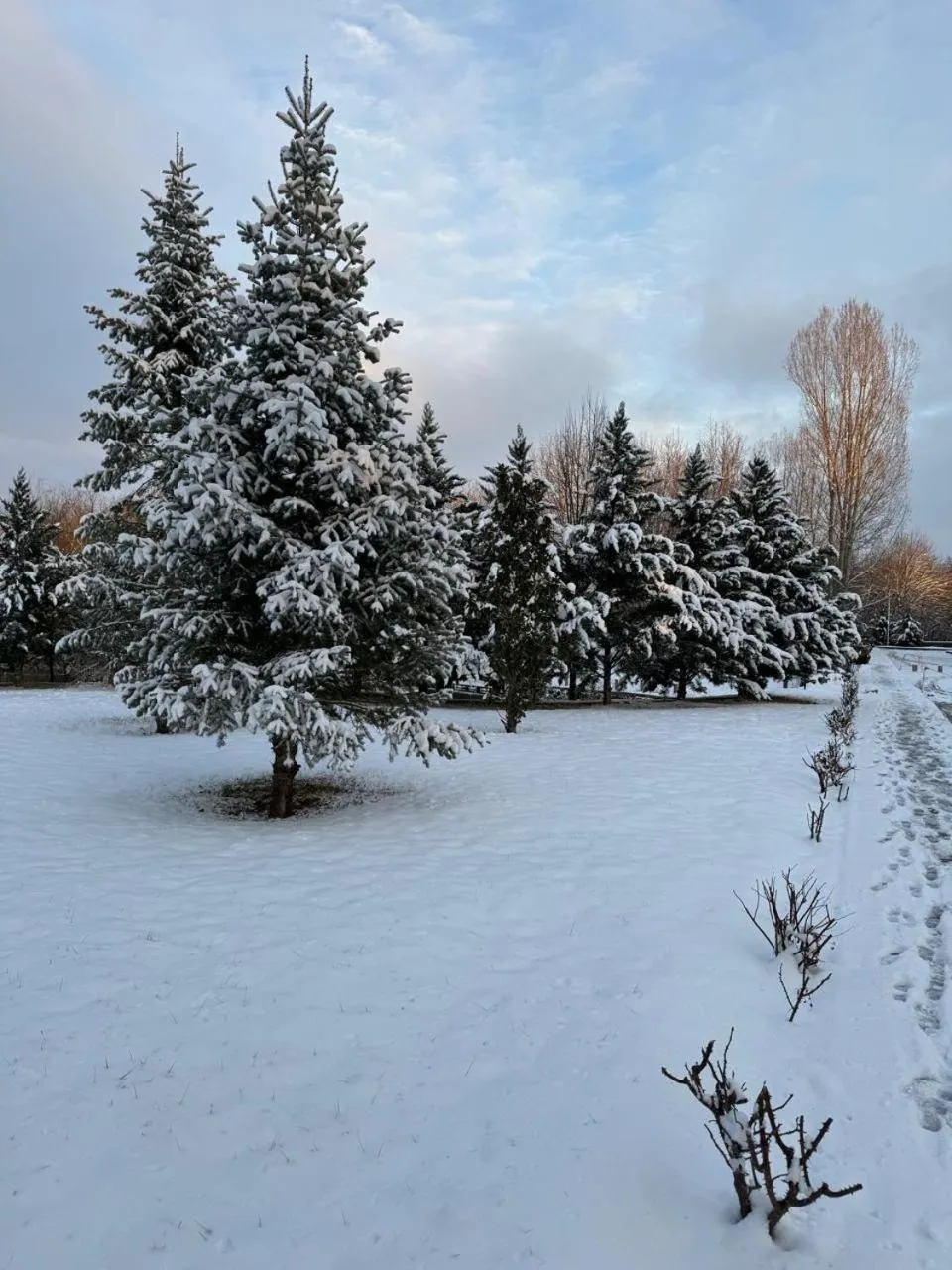 Gabala Yengice Thermal Resort Hotel