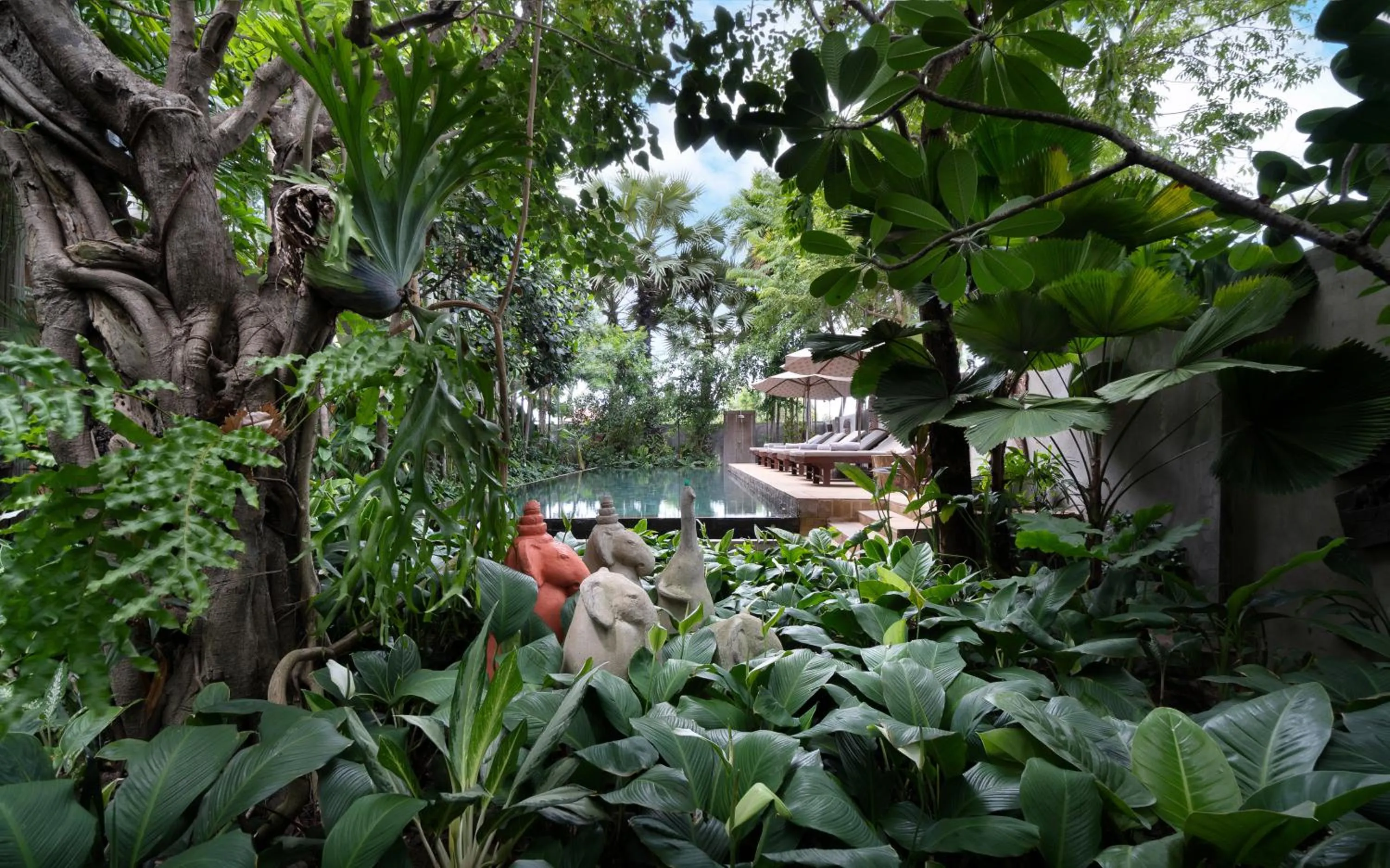 Swimming pool in The Nature & Villas