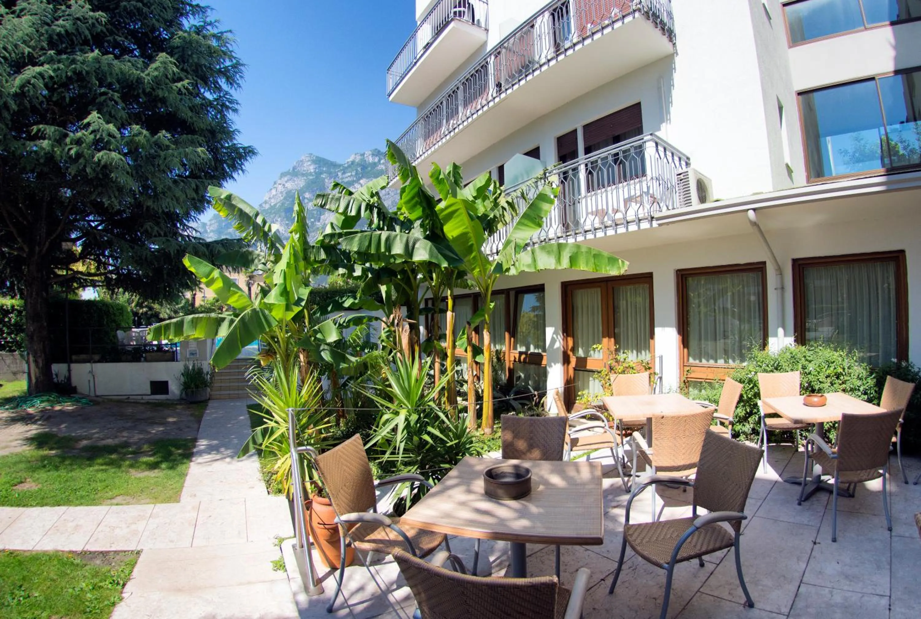 Garden in Hotel Bristol