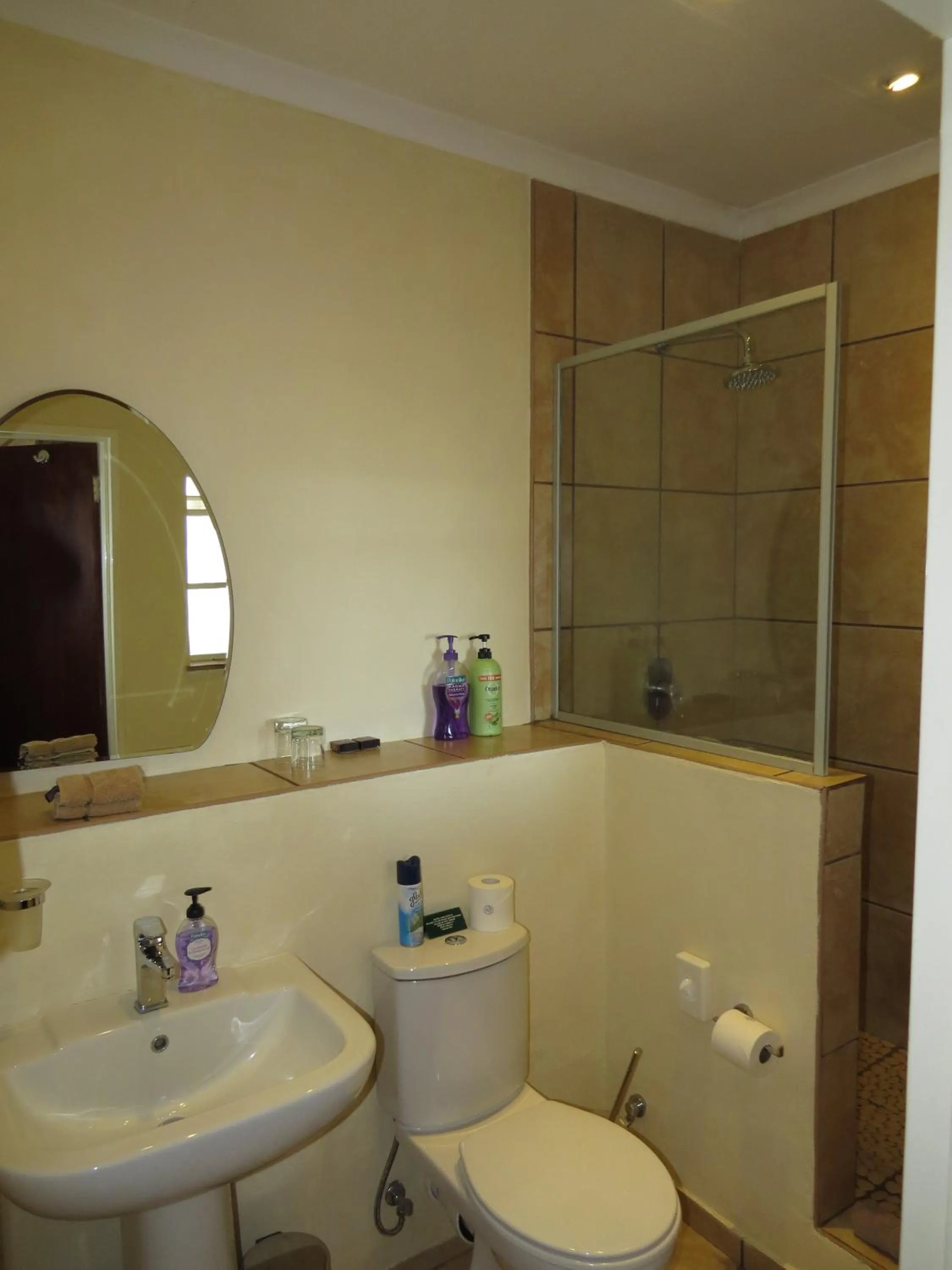 Shower in White House Lodge