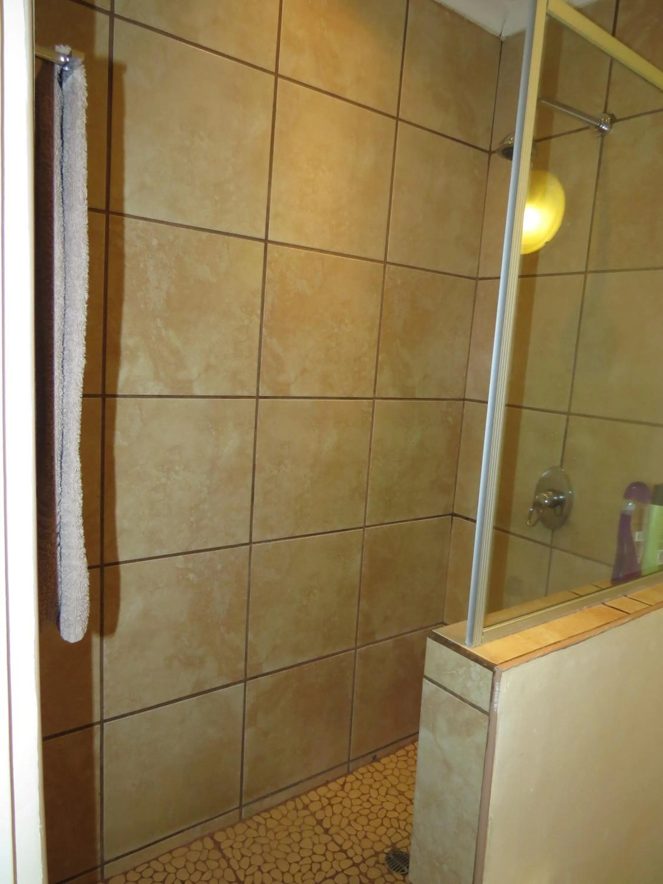 Shower in White House Lodge