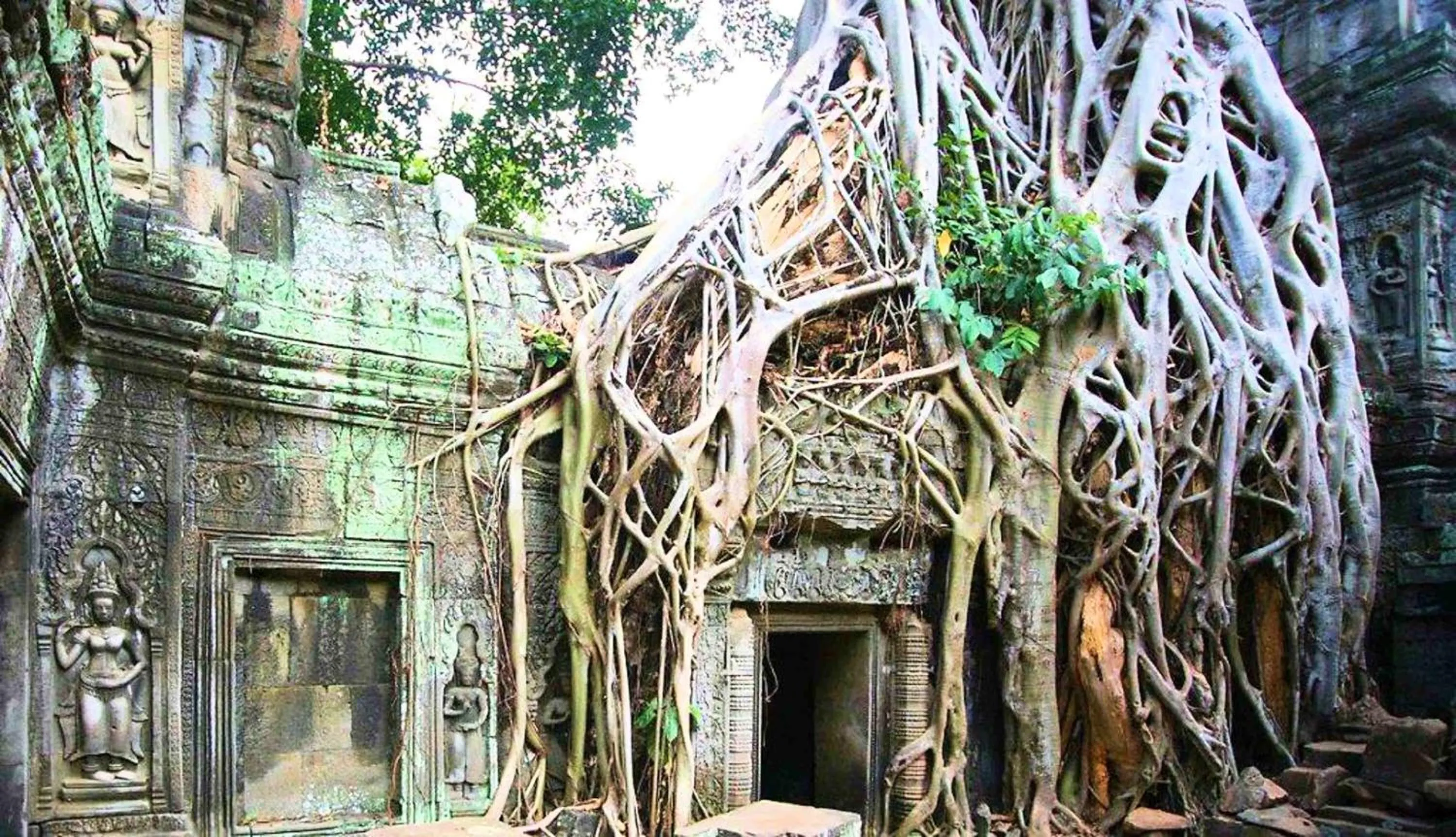 Area and facilities in Siem Reap Pub Hostel