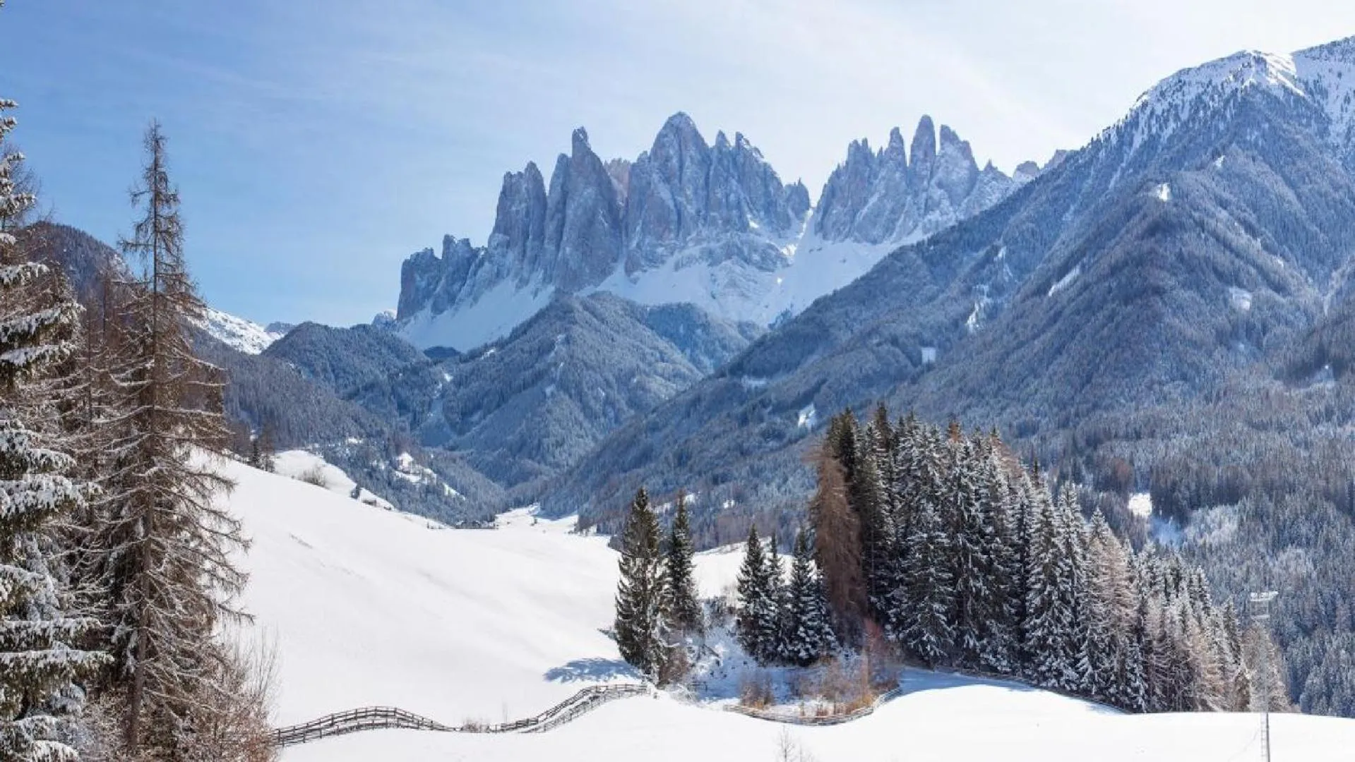 Winter in Cityhotel Goldener Adler B&B