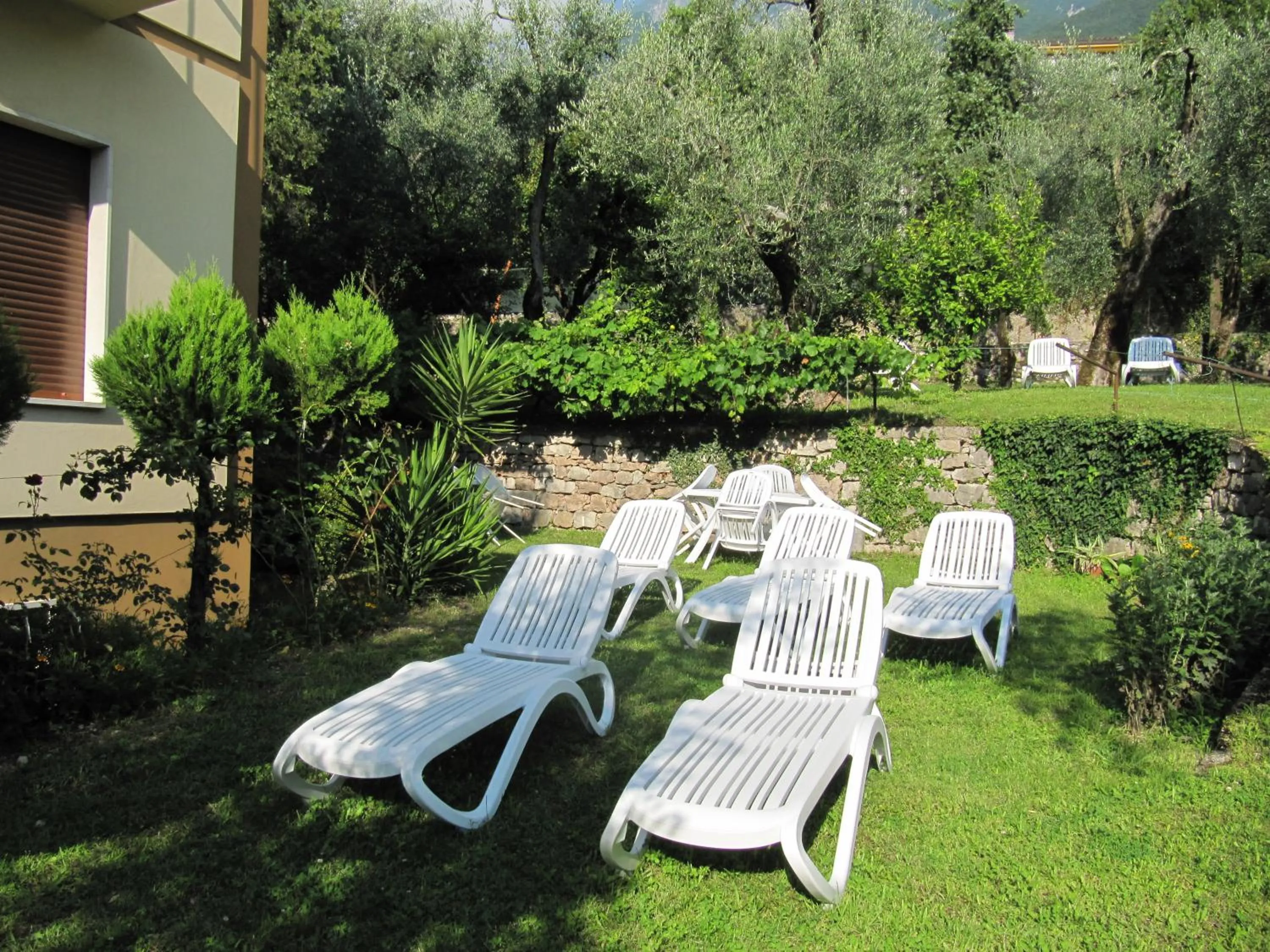 Garden in Hotel Carlo