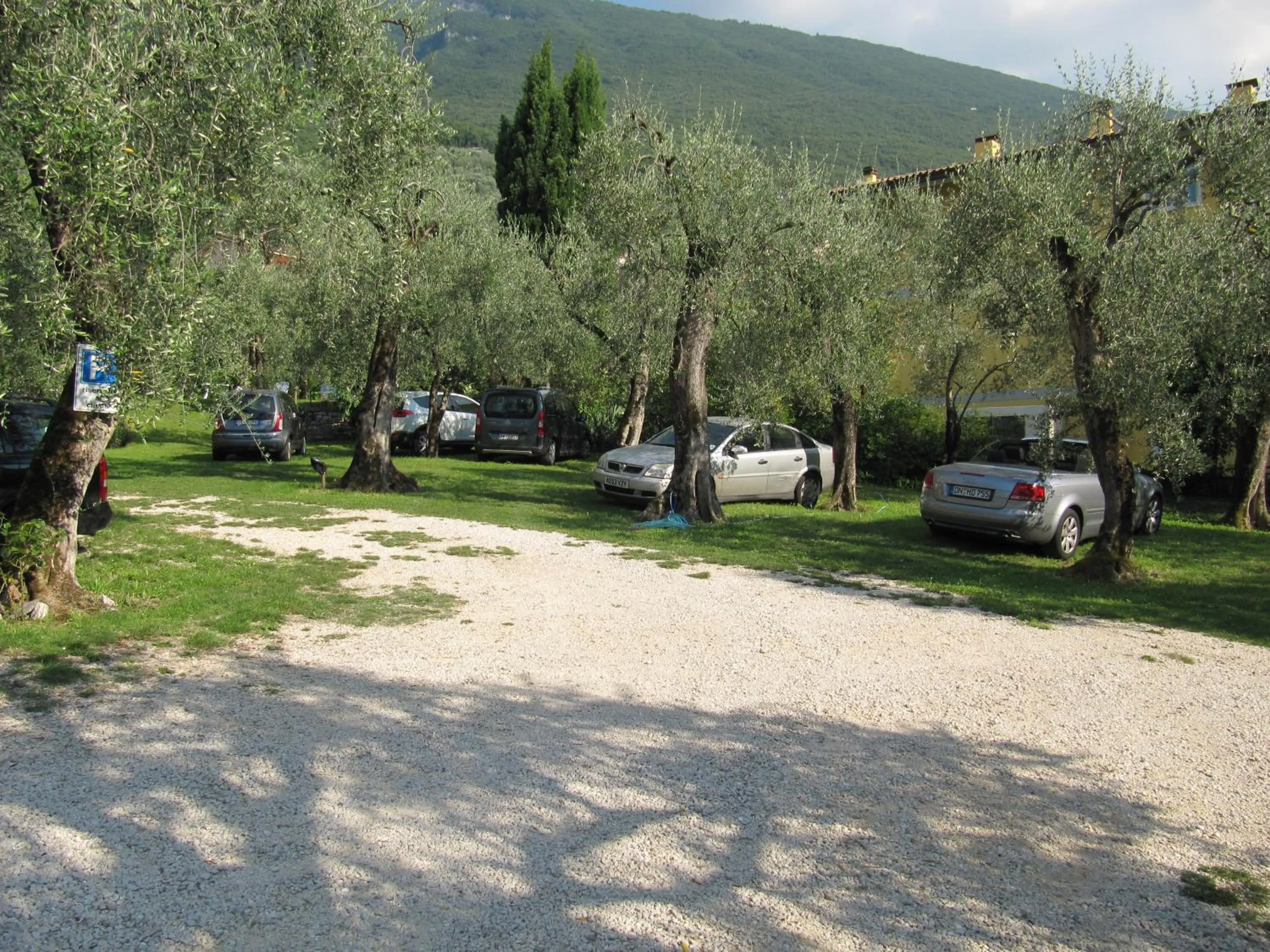 Garden in Hotel Carlo