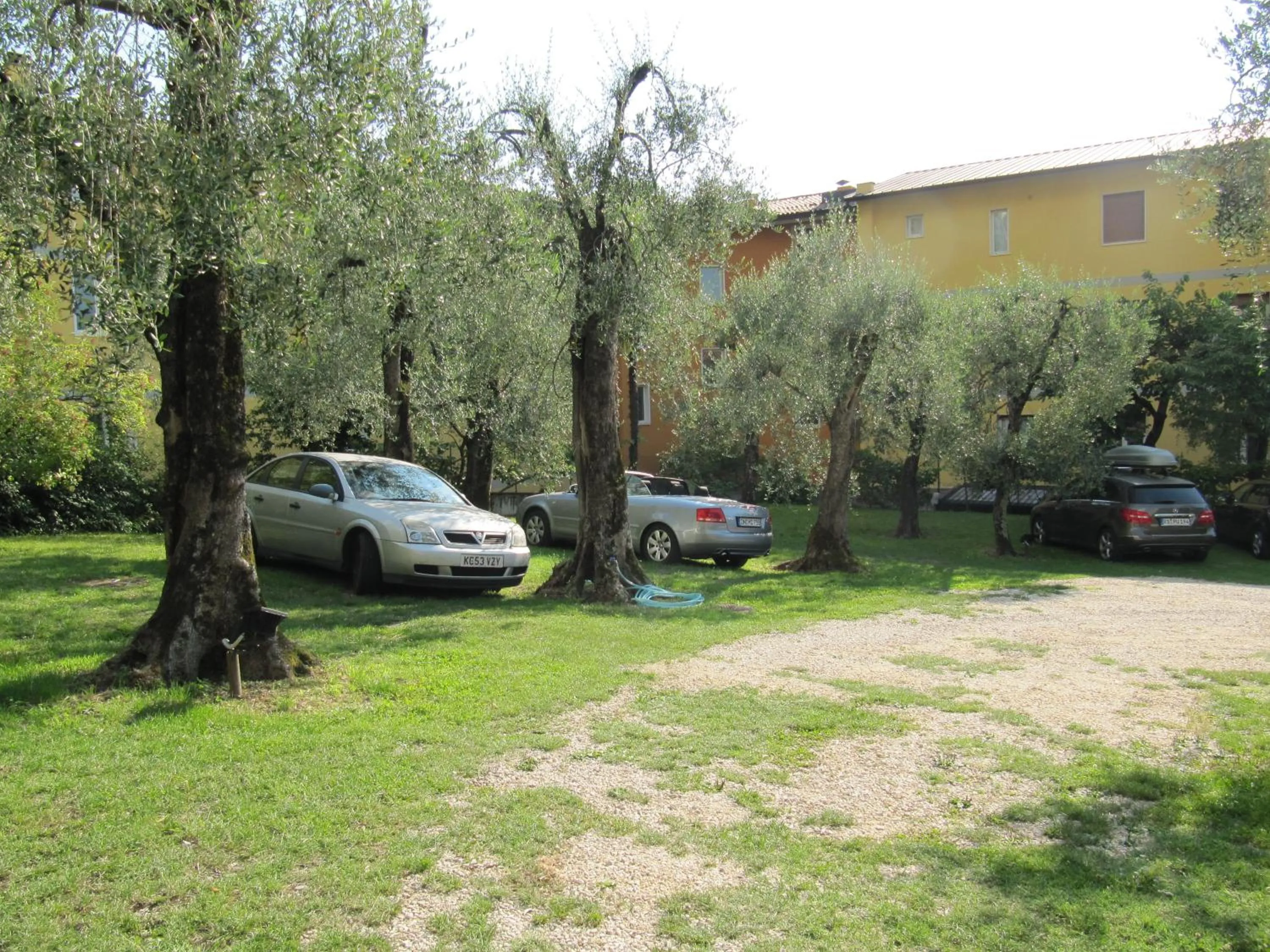 Garden in Hotel Carlo
