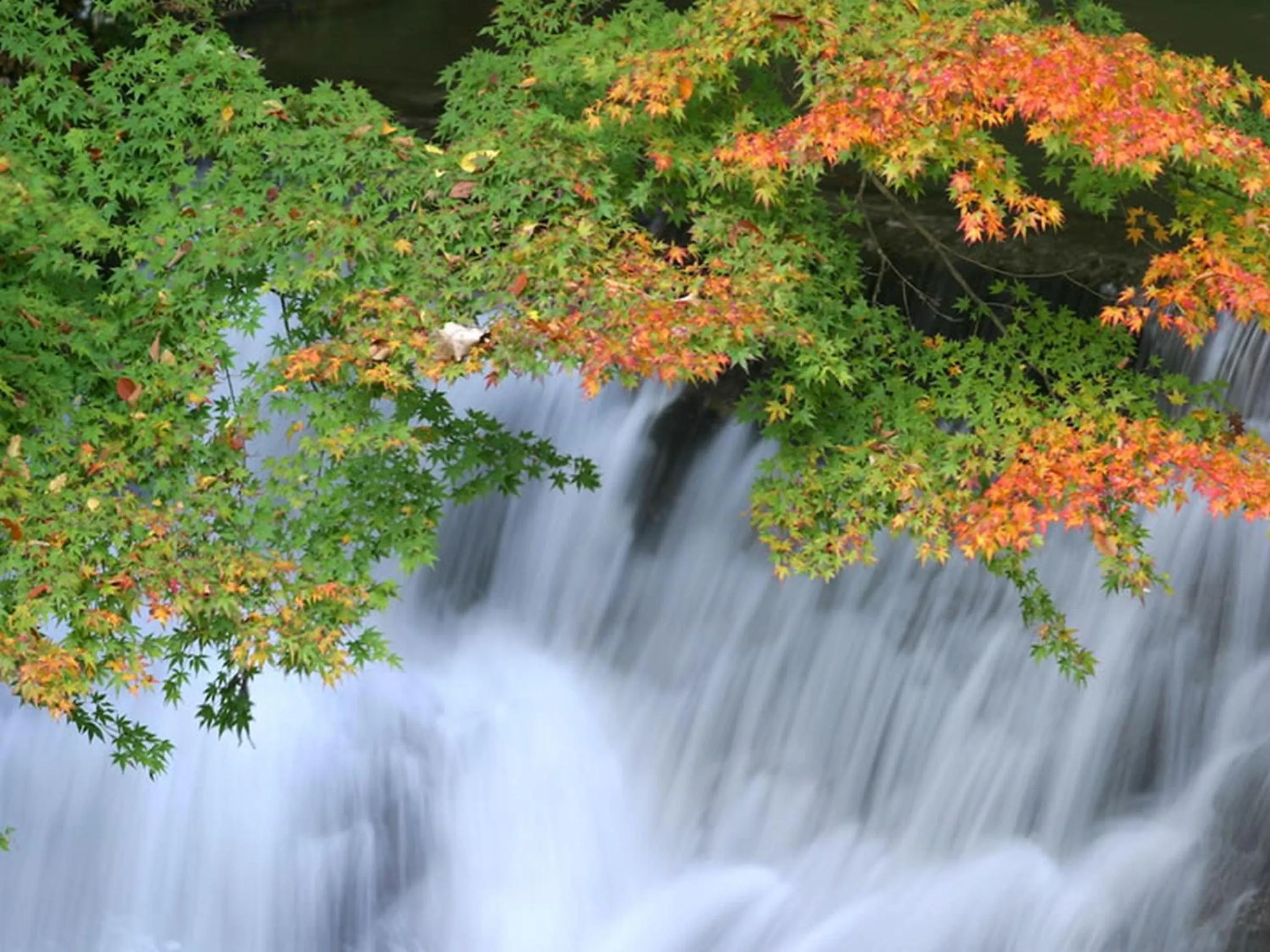 Nearby landmark in KOKO STAY Hitachi- formerly Hotel Wing International Hitachi