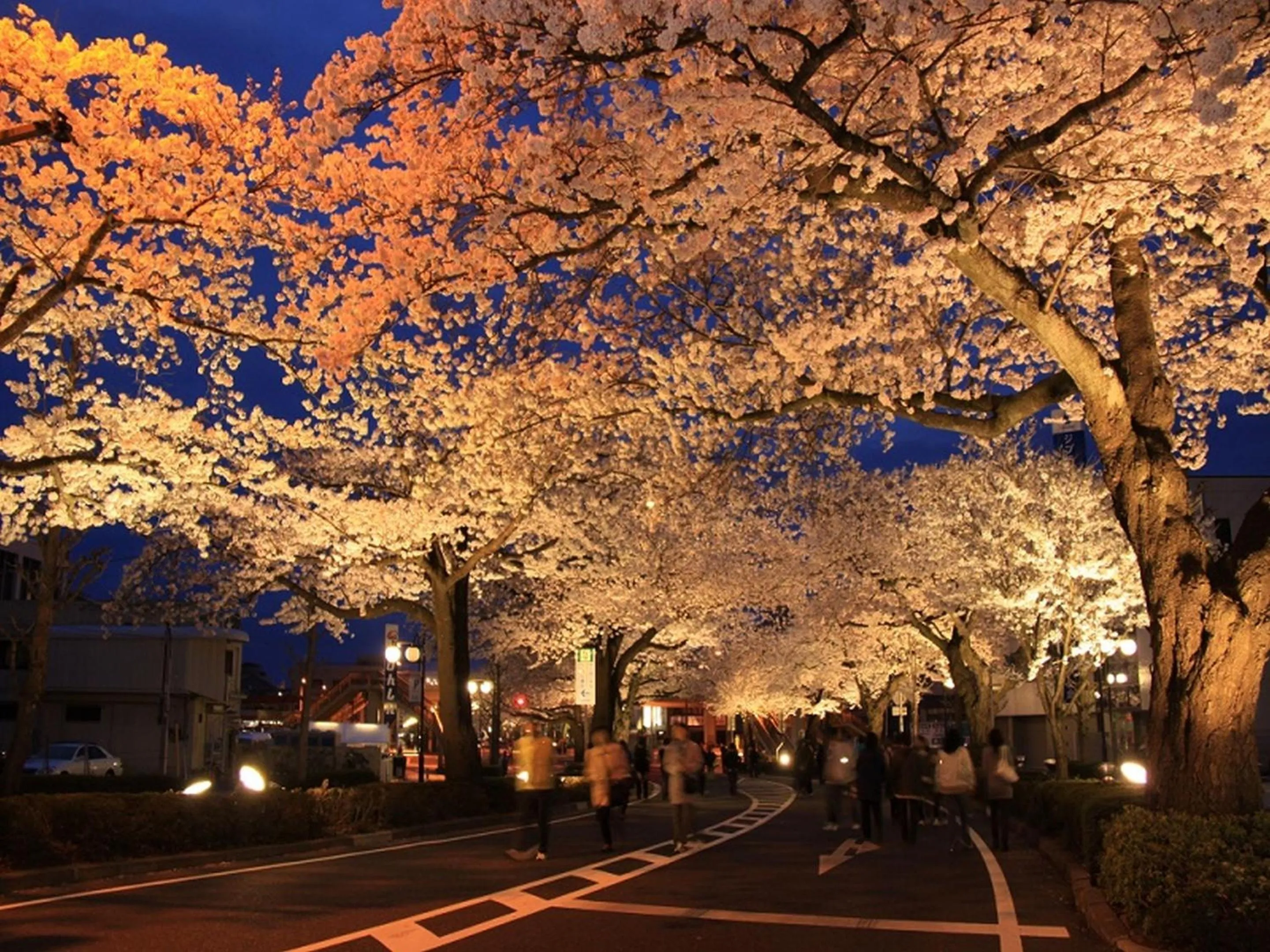 Nearby landmark in KOKO STAY Hitachi- formerly Hotel Wing International Hitachi