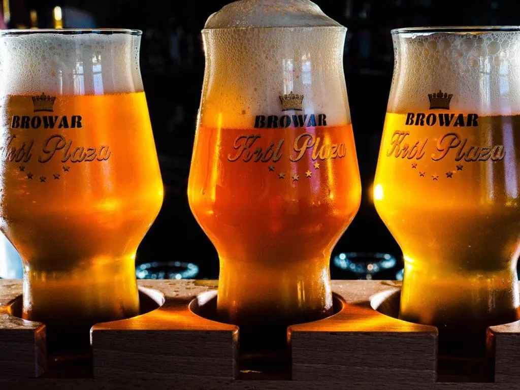 Lounge or bar in Król Plaza Spa & Wellness