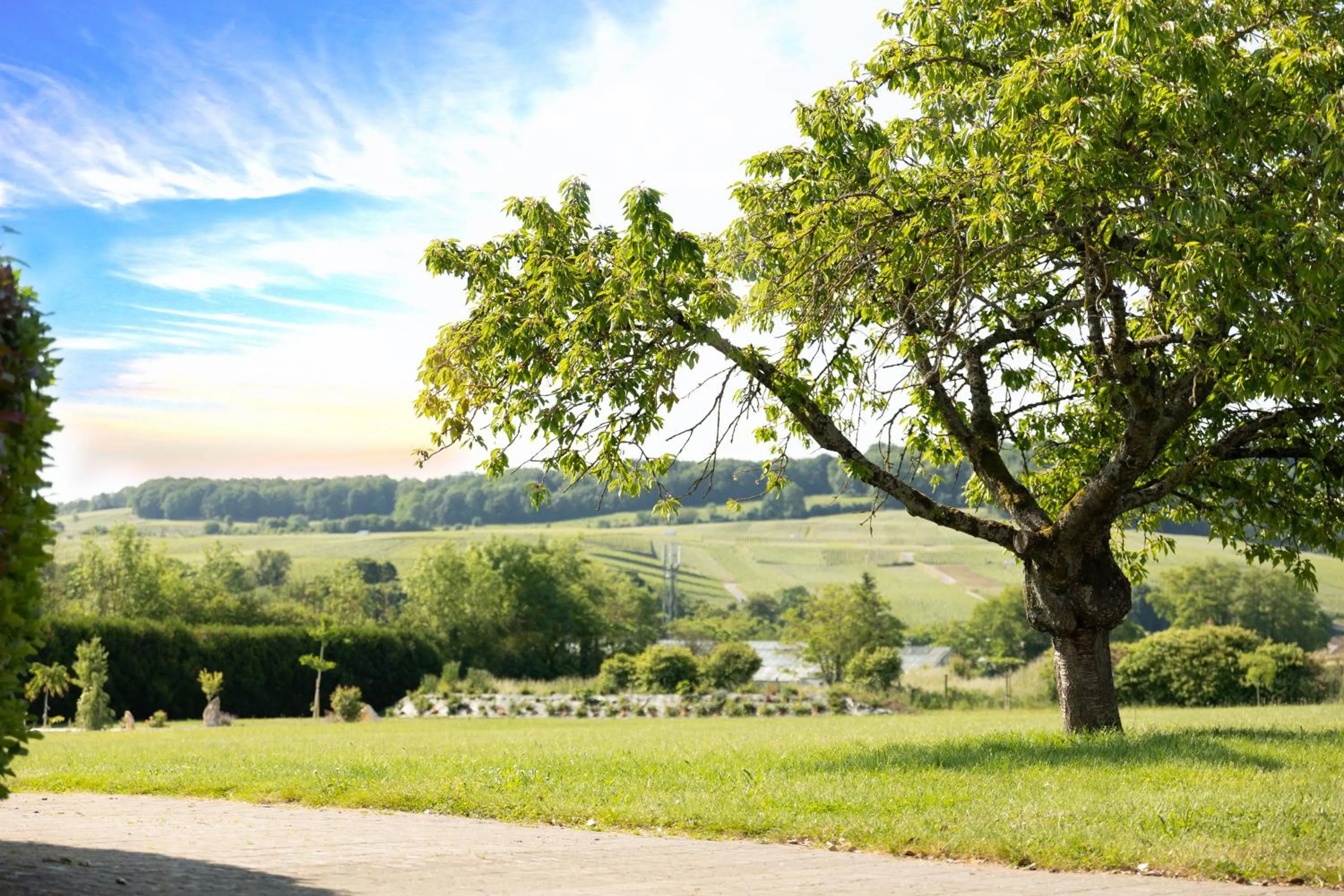 Garden in Chambre d'Hôte Les Ondines