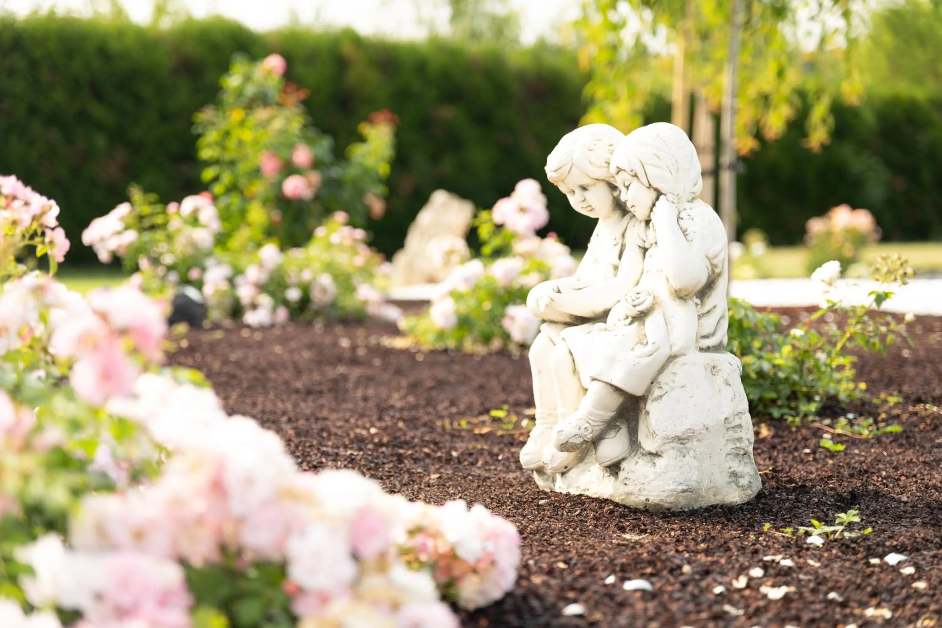 Garden view in Chambre d'Hôte Les Ondines