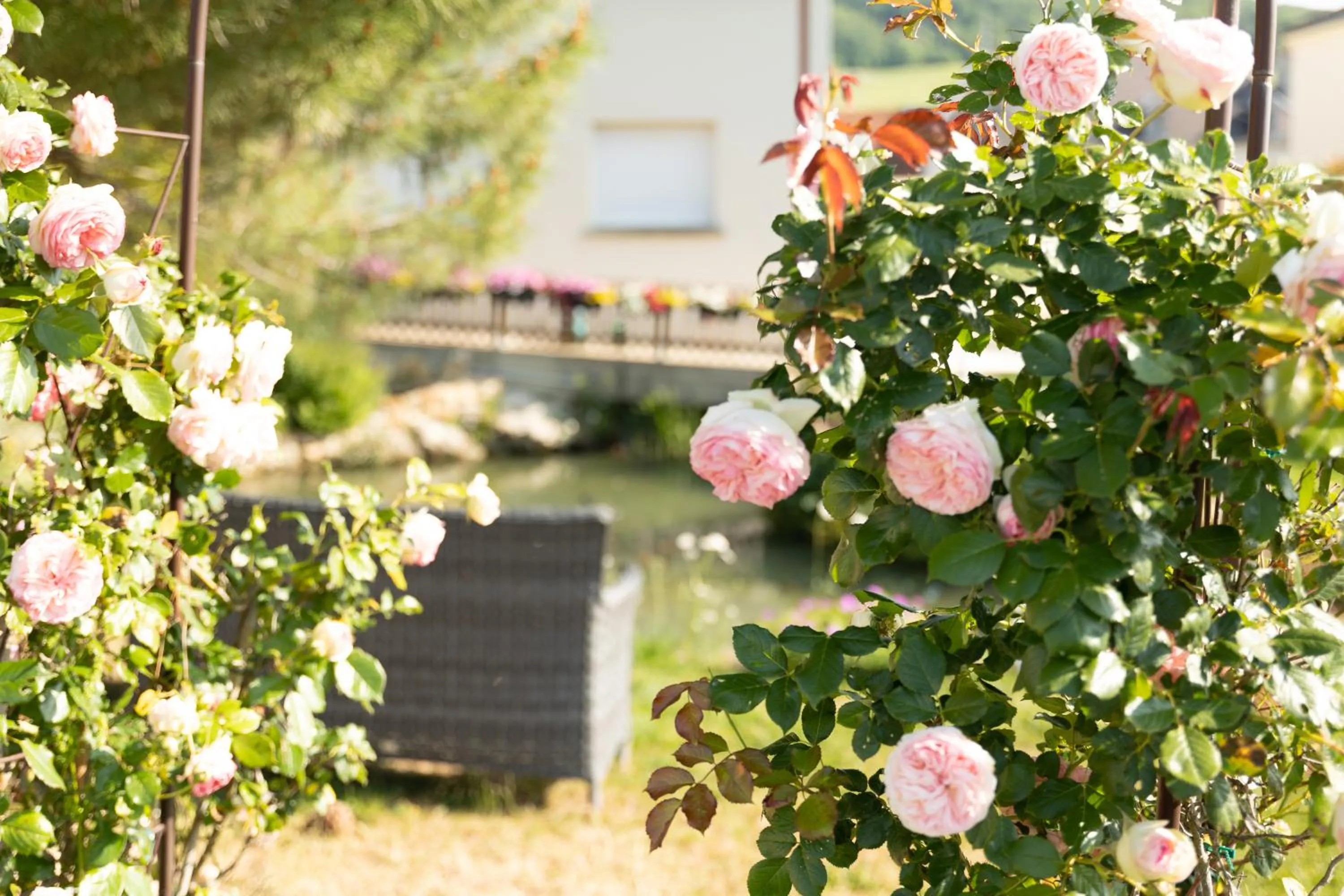 Garden in Chambre d'Hôte Les Ondines