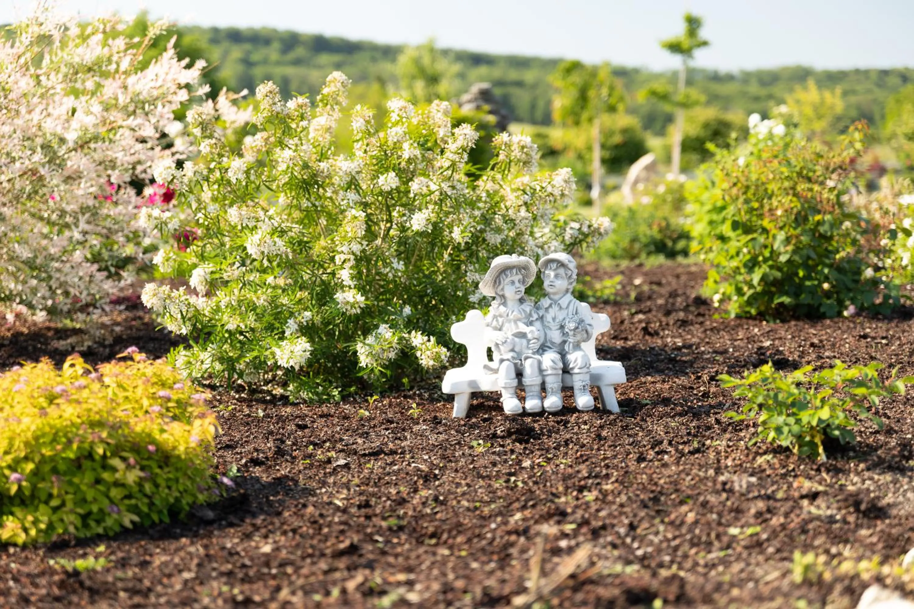 Garden in Chambre d'Hôte Les Ondines