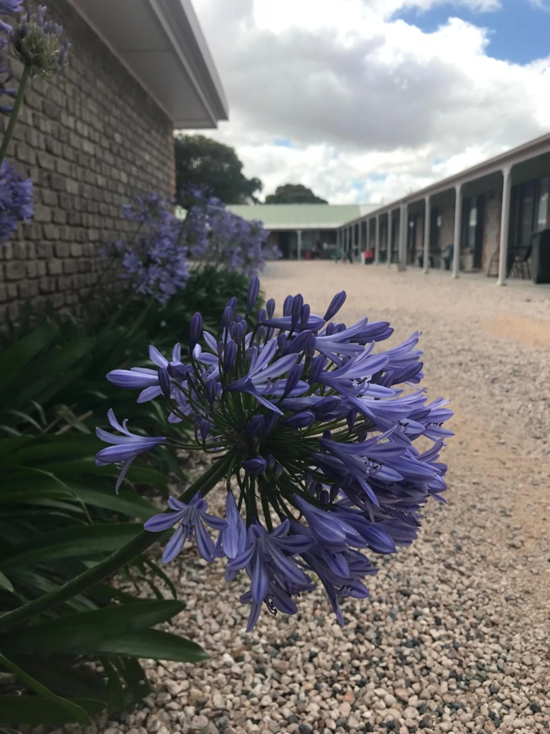 Facade/entrance in Lake Albert Motel