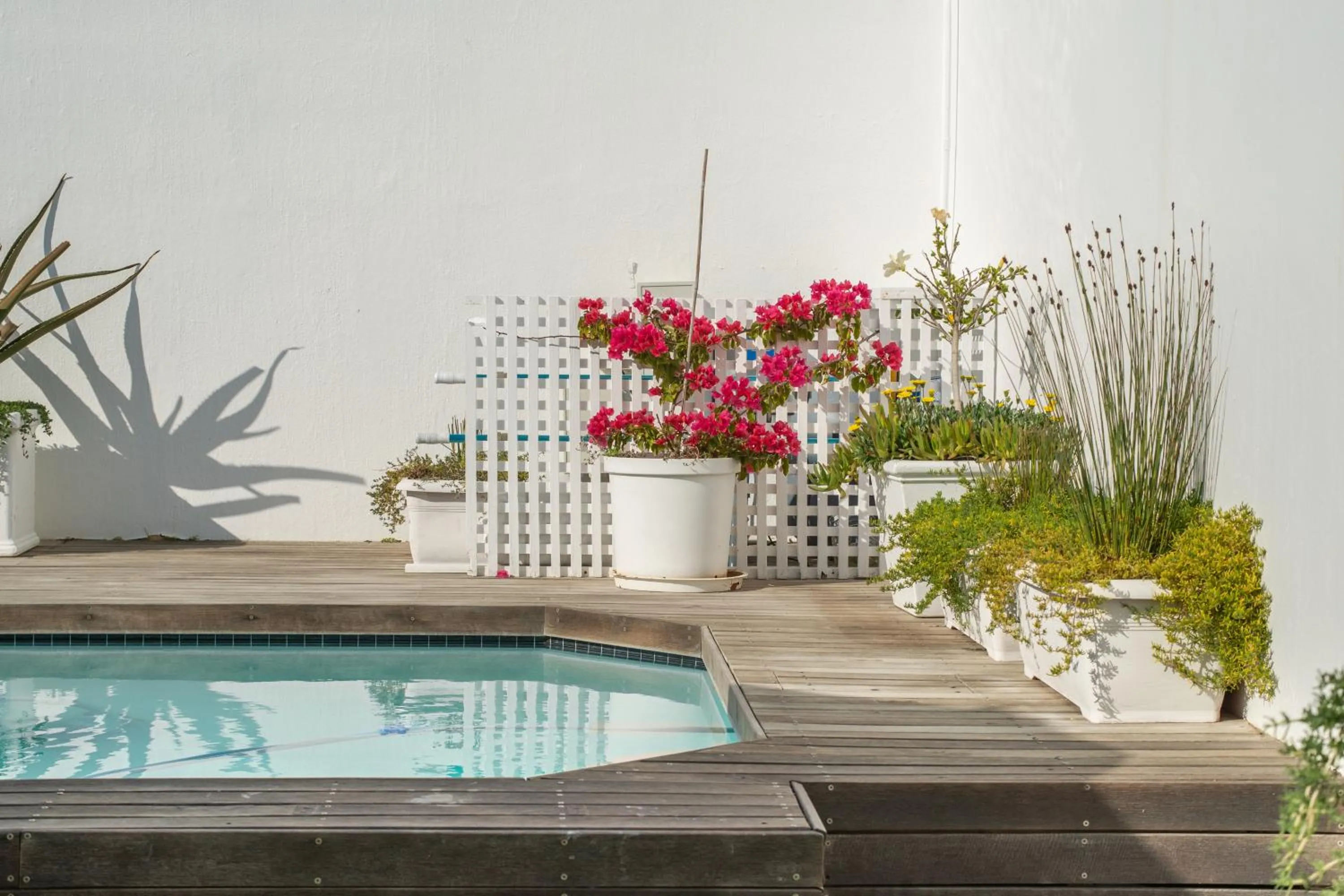 Swimming pool in Funkey Villas Cape Town