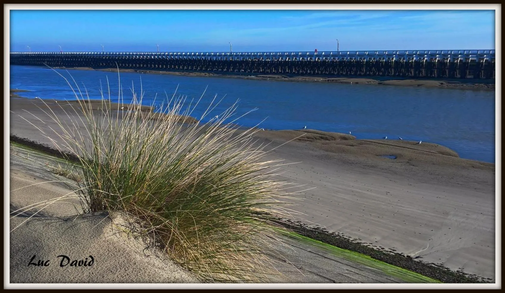 Sea view in B&B Villa Sans Soucis