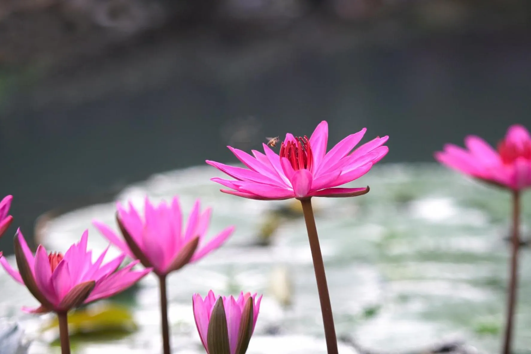 Mekong Long Thanh Resort & Reststop