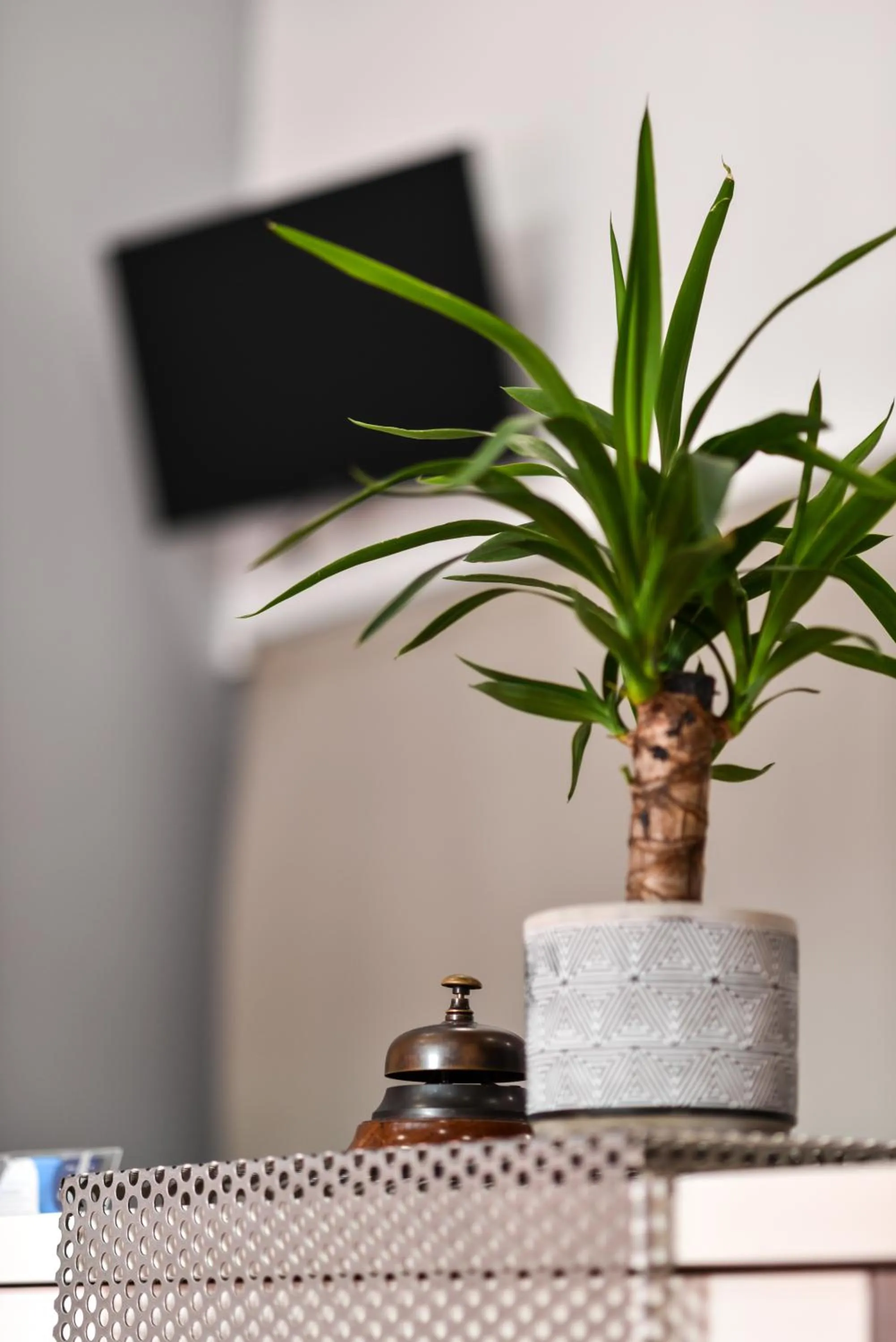 Lobby or reception in Hotel Bella Vita