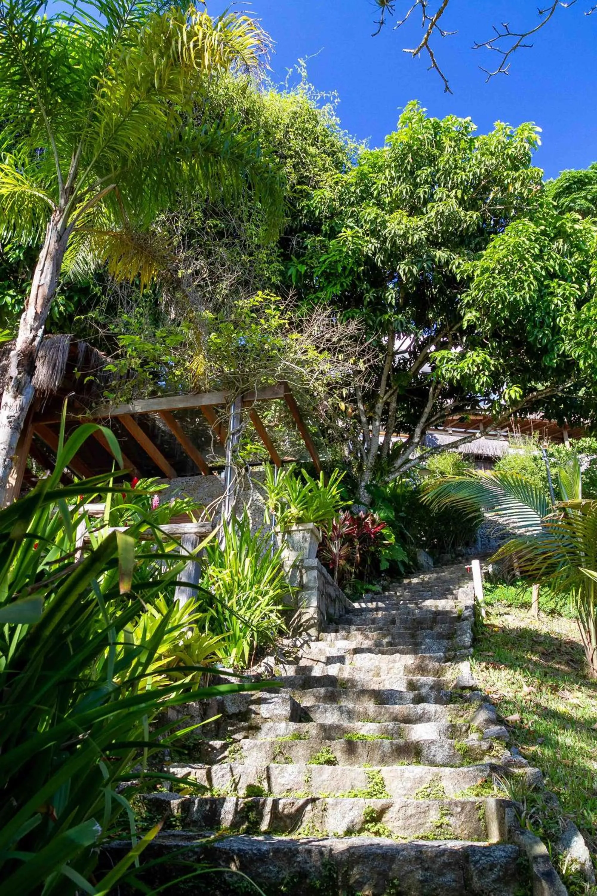 Garden in Casa Luz Paraty