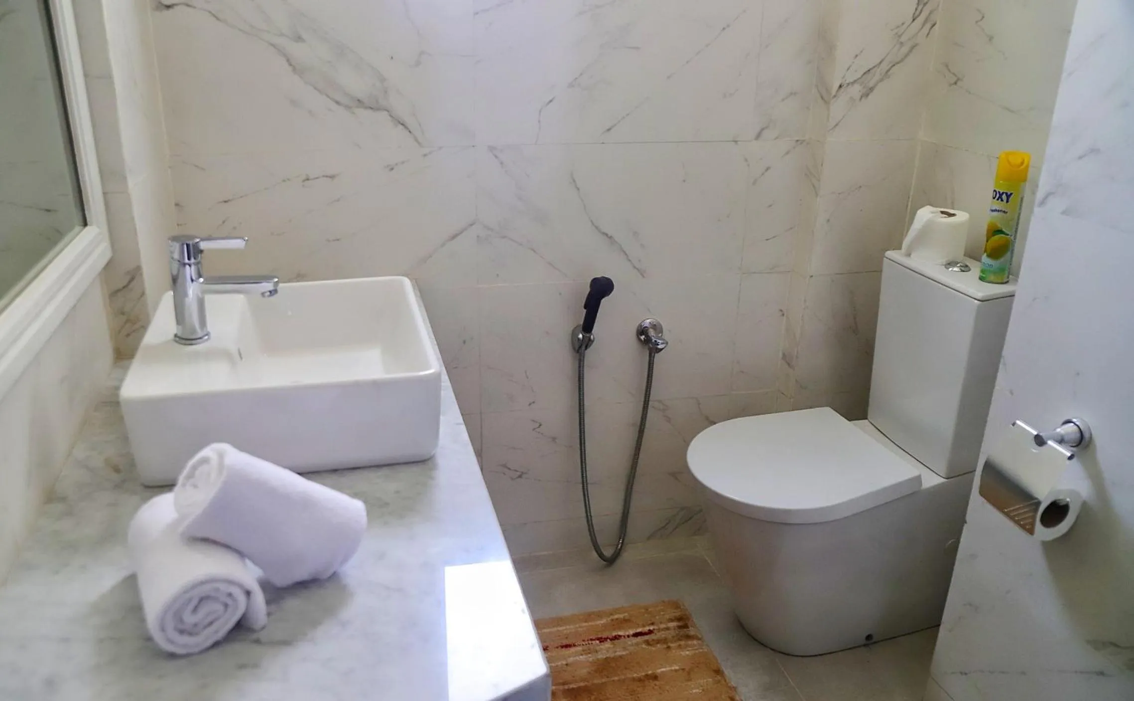 Toilet in Hotel Parador