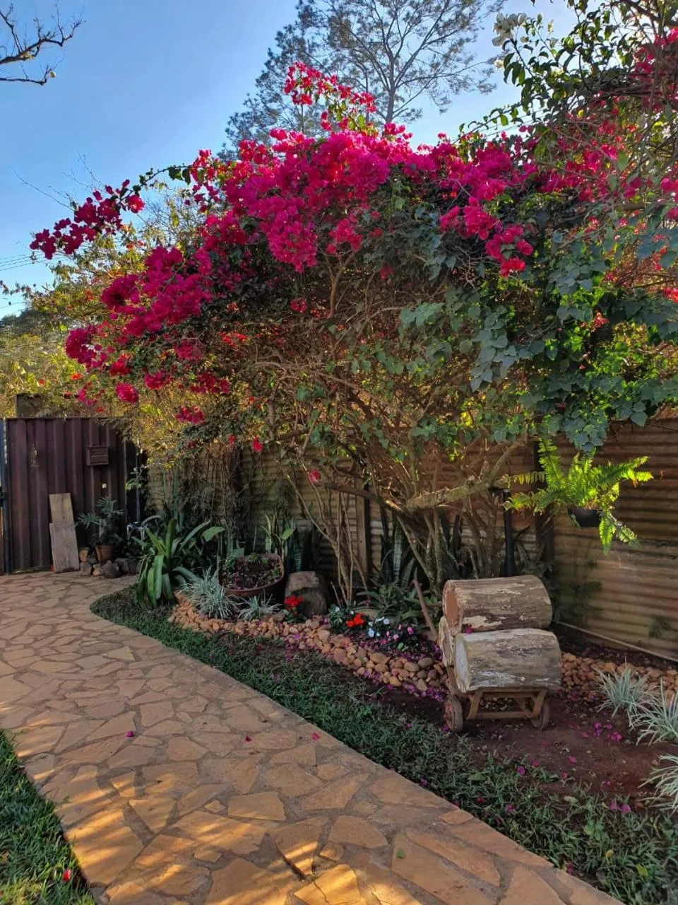 Garden in Estância das Angolas - Inhotim