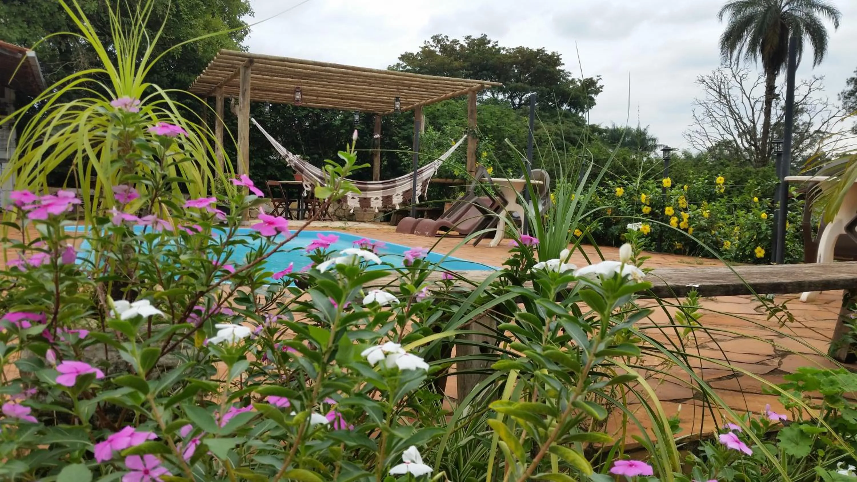 Garden in Estância das Angolas - Inhotim
