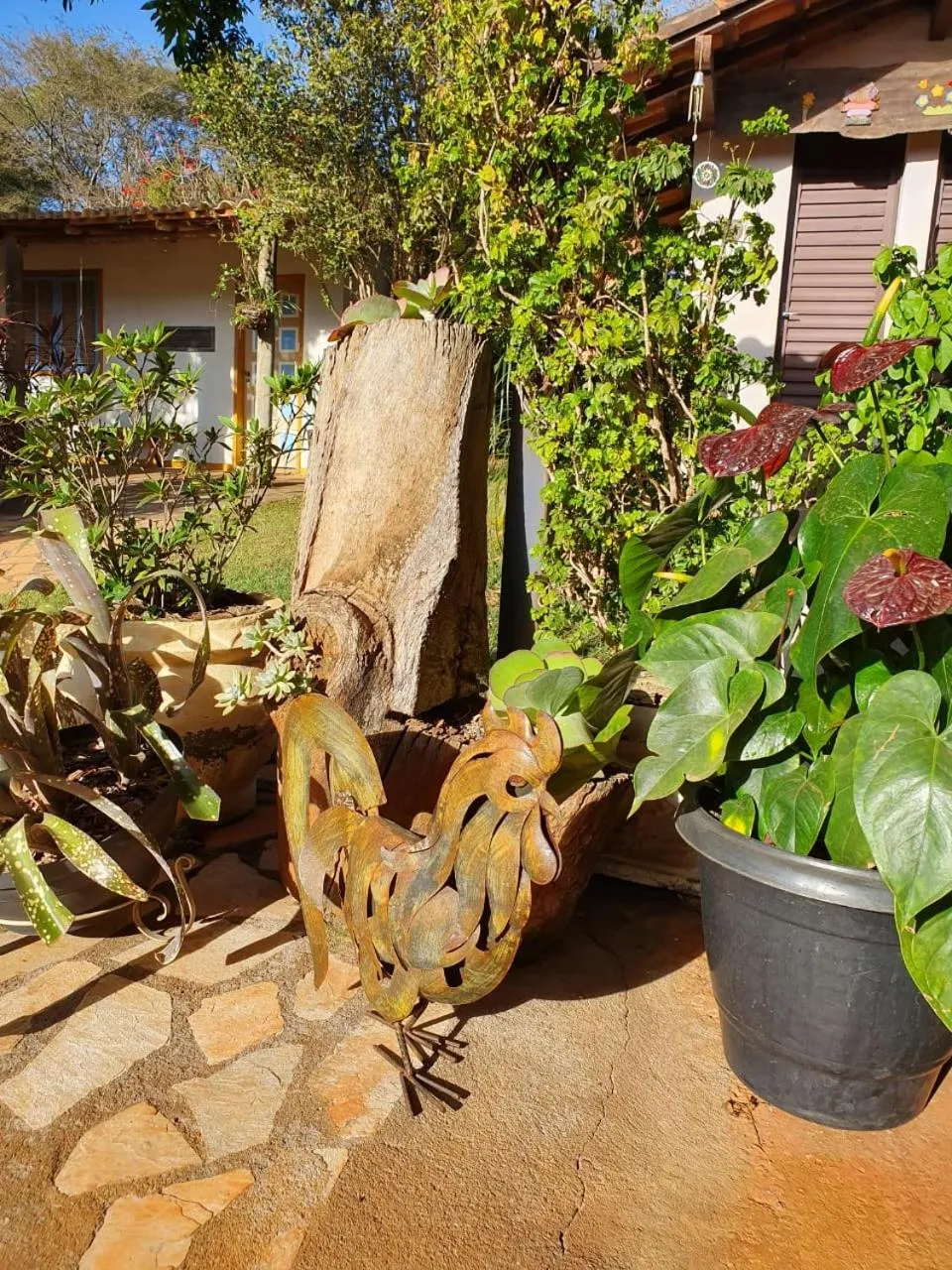 Property building in Estância das Angolas - Inhotim