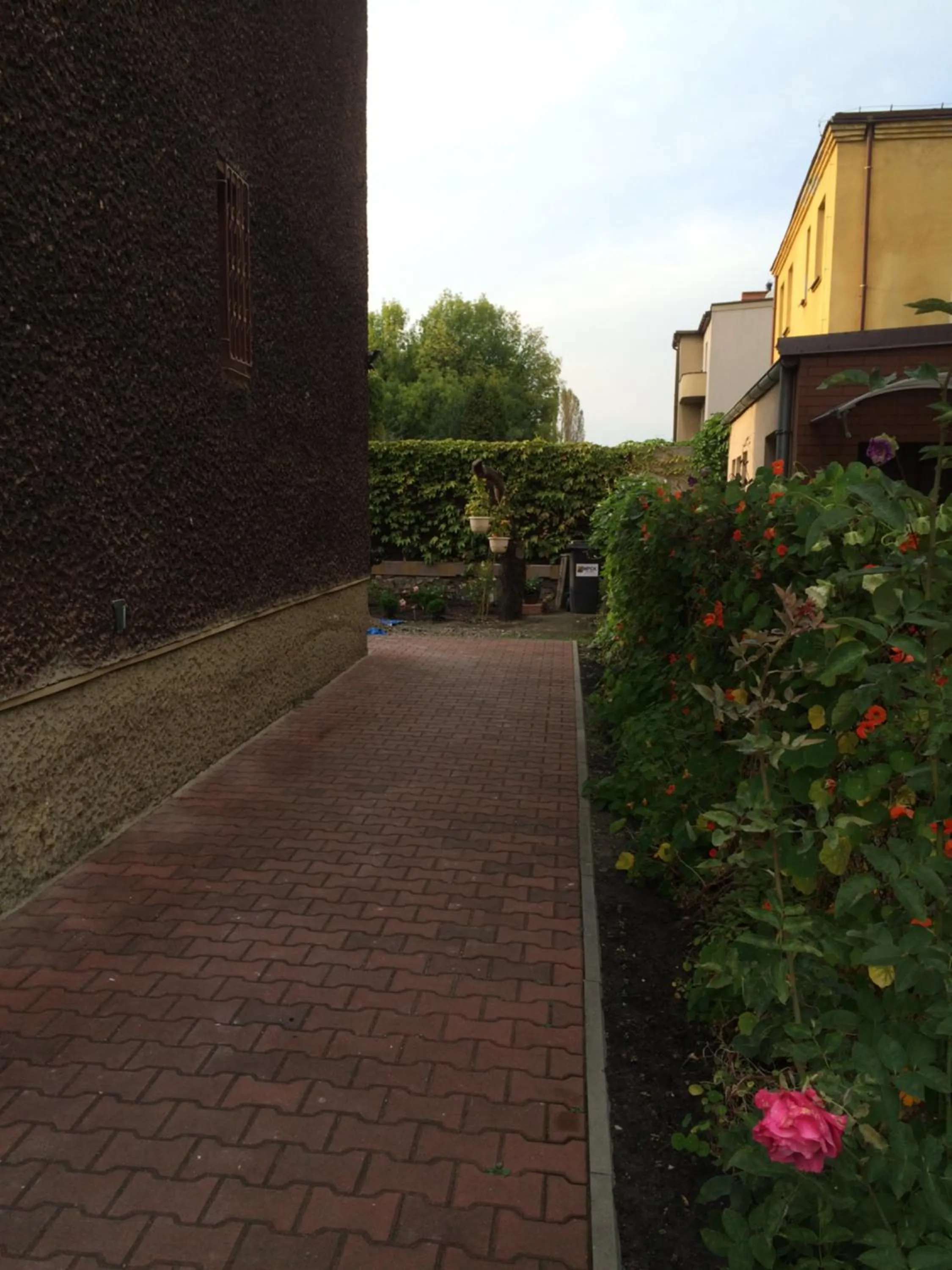 Garden in Kathia Pokoje Gościnne