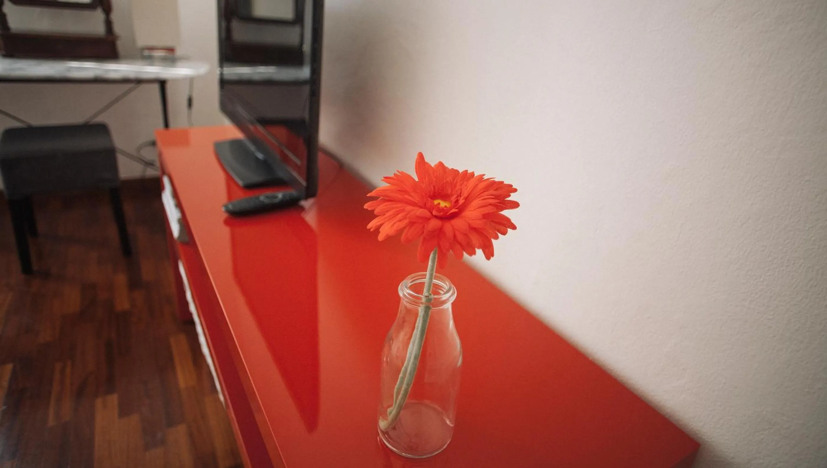 TV and multimedia in Cesare da Sesto