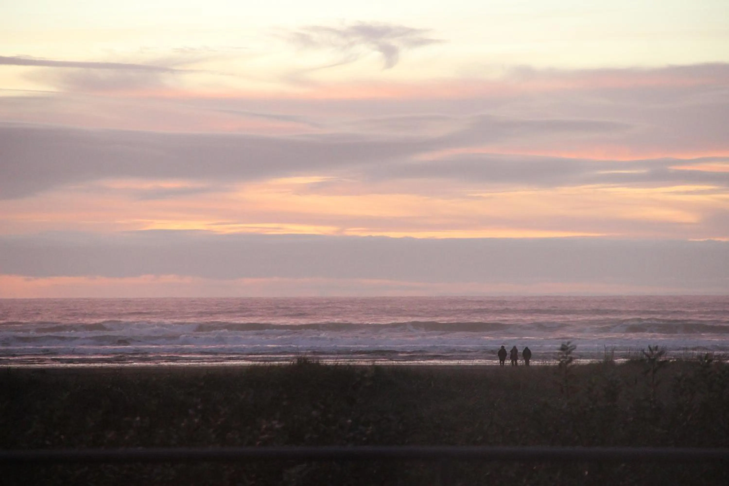 Natural landscape in Quinault Beach Resort & Casino