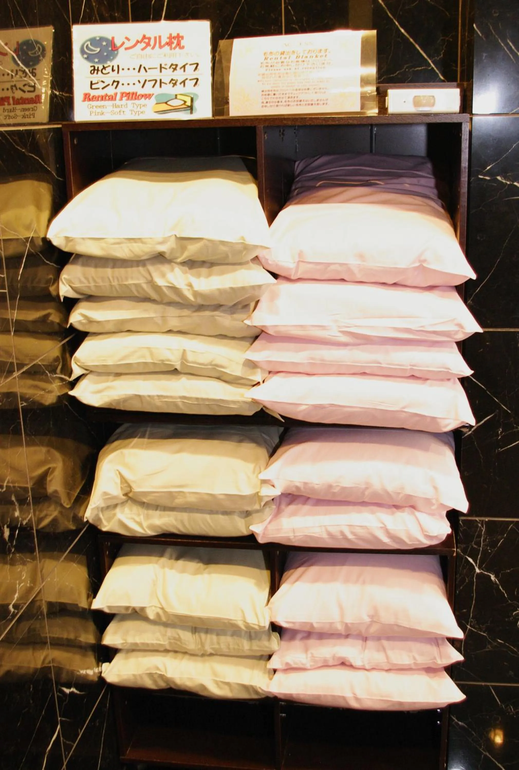 Area and facilities in Access Inn Kariya