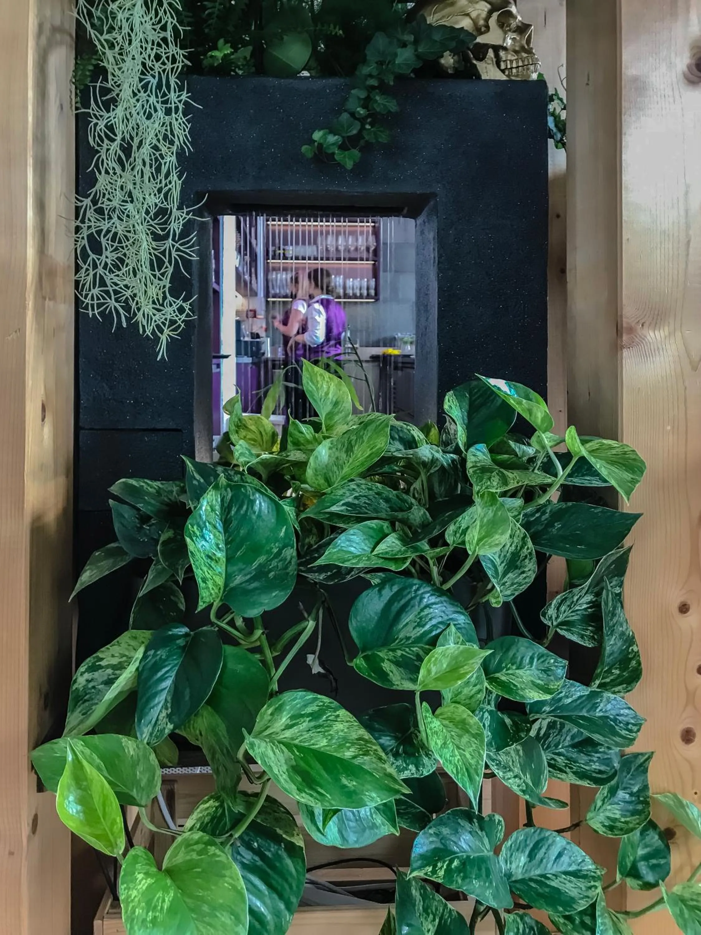 Lounge or bar in GRAND your home with common kitchens with self check-in