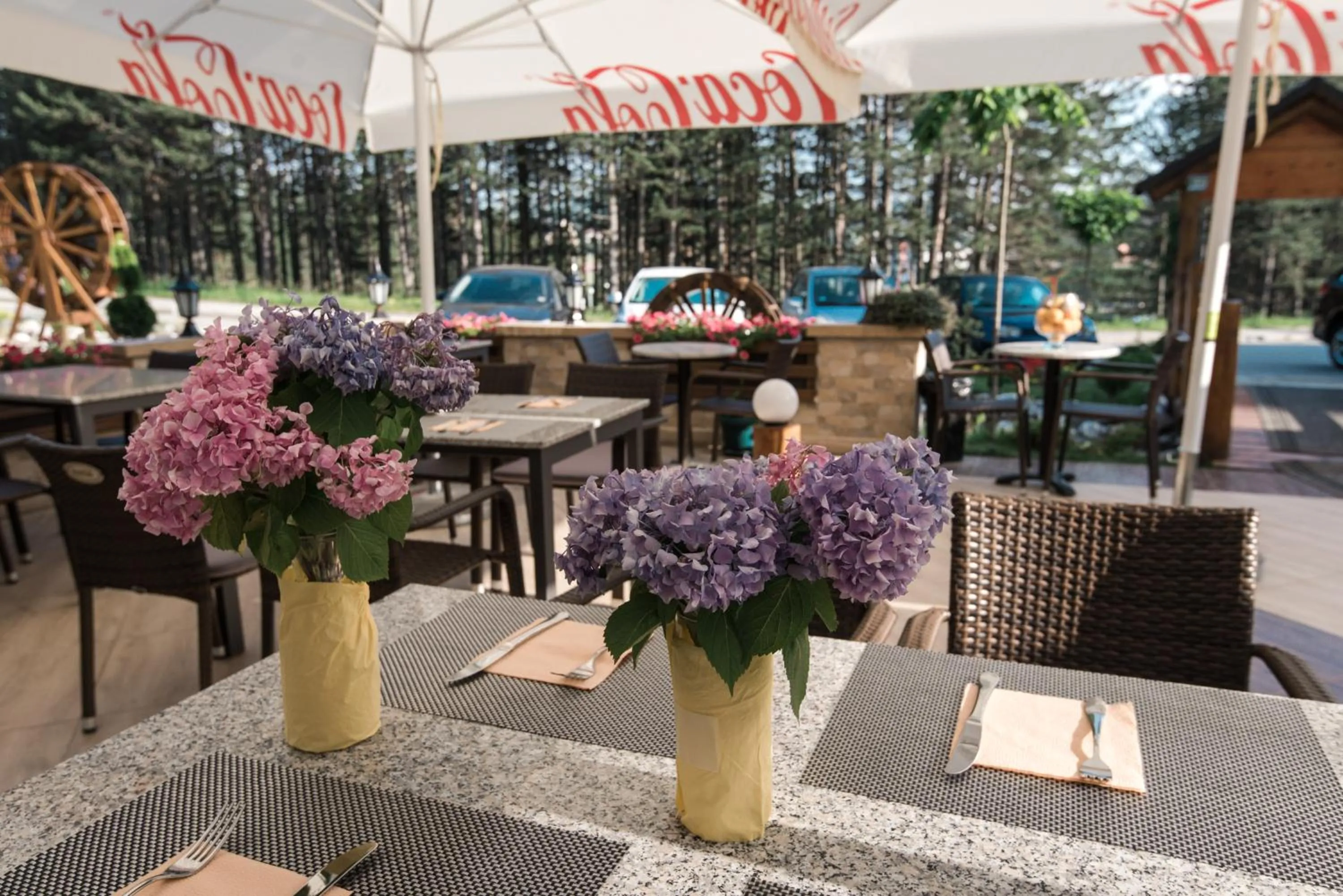 Balcony/Terrace in Hotel Iris