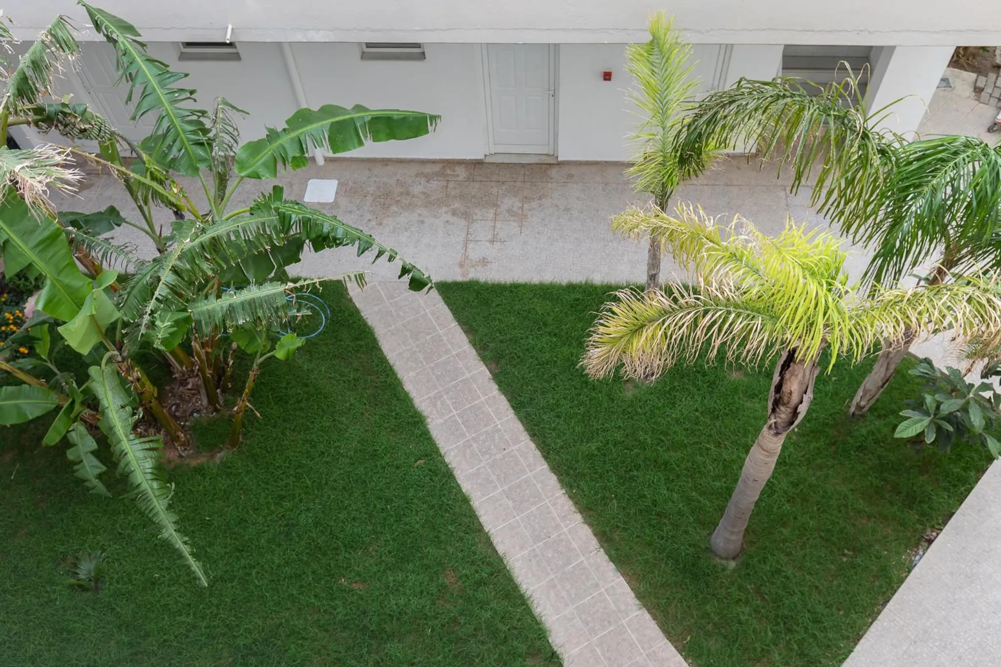 Garden in Faliraki Dream Studios & Apartments