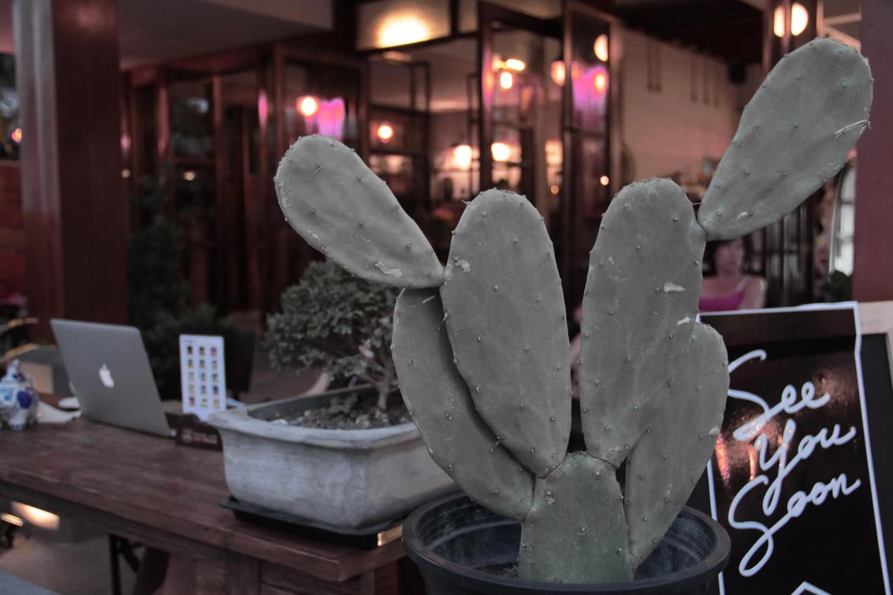 Decorative detail in See You Soon, Chiang Mai