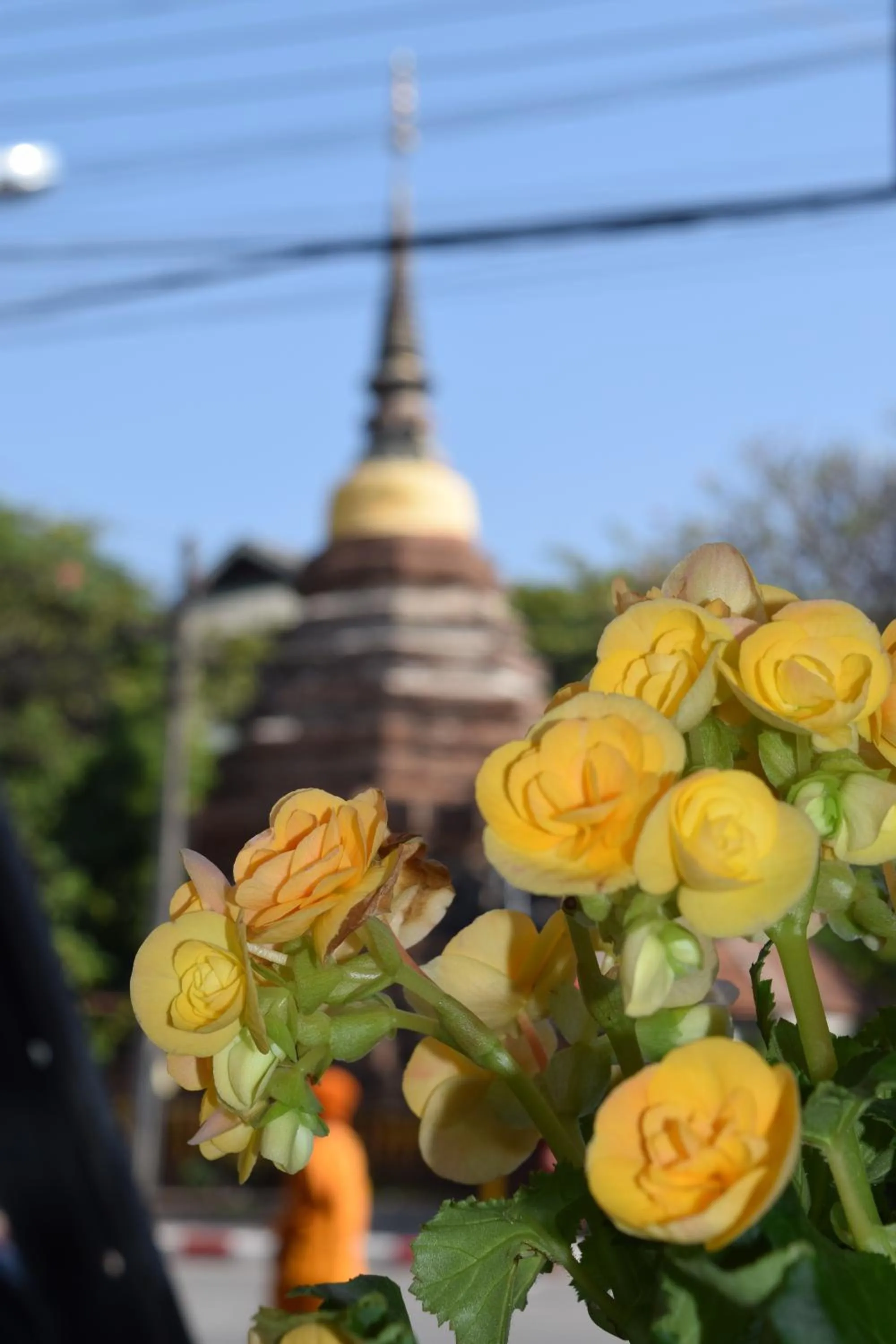 Decorative detail in See You Soon, Chiang Mai