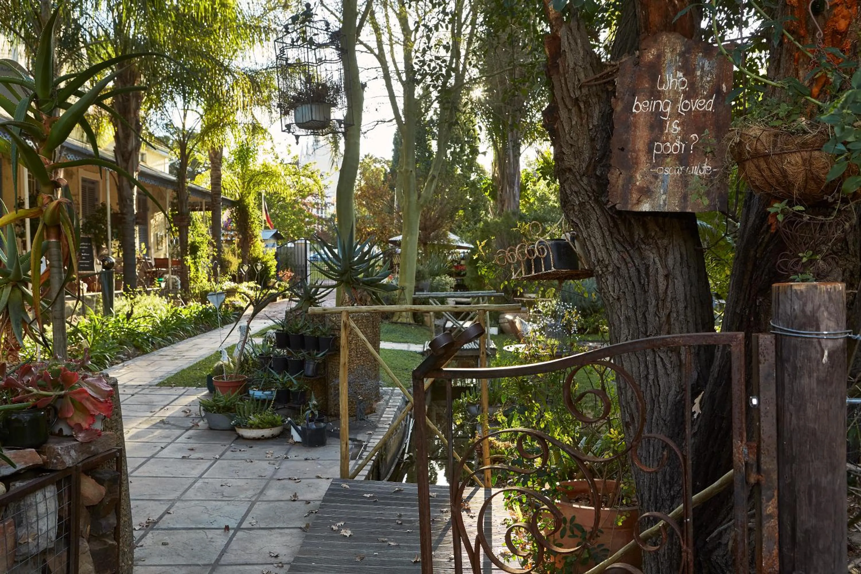 Garden in Yellow Aloe