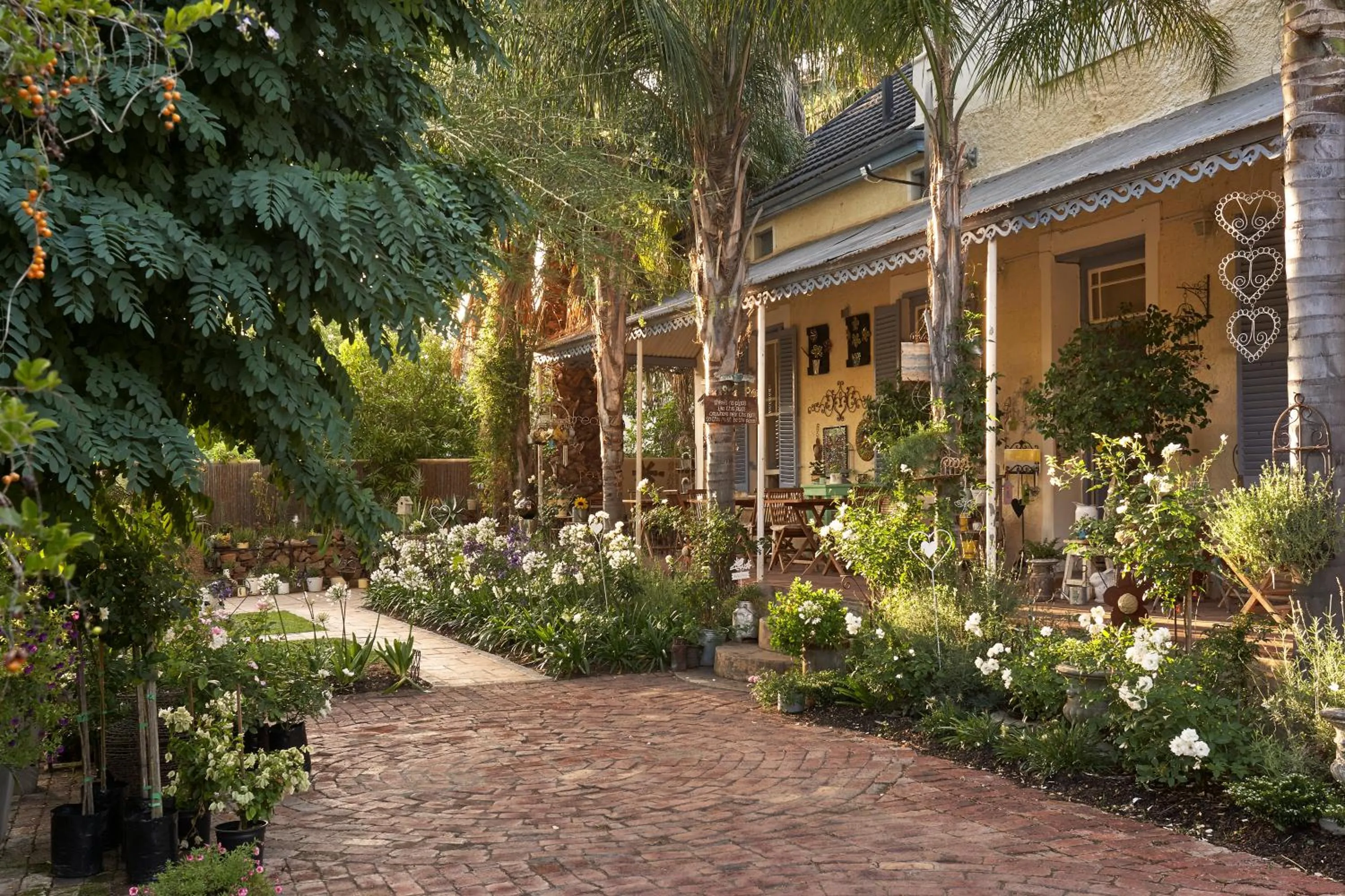 Property building in Yellow Aloe