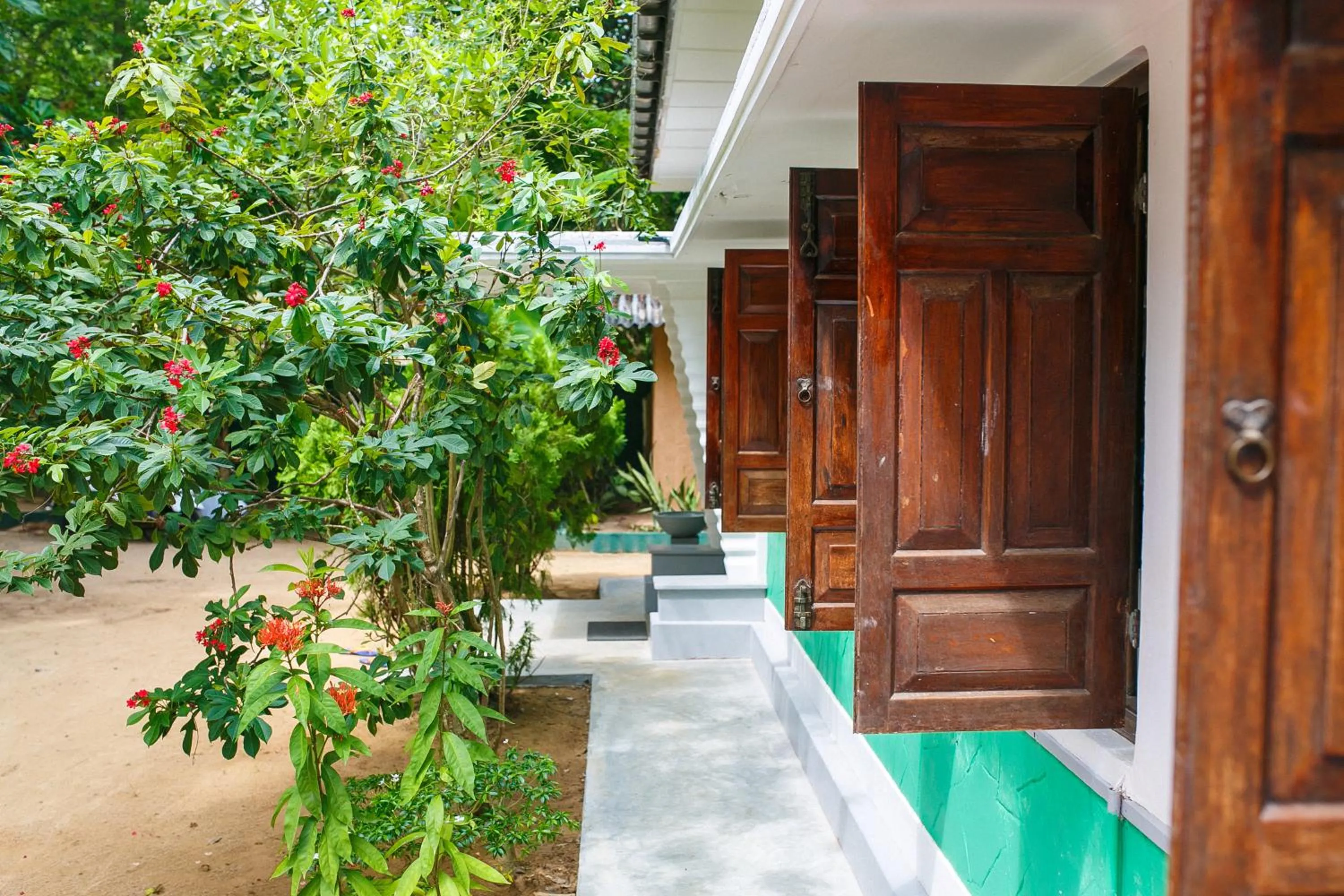 Decorative detail in Hostel First Mirissa