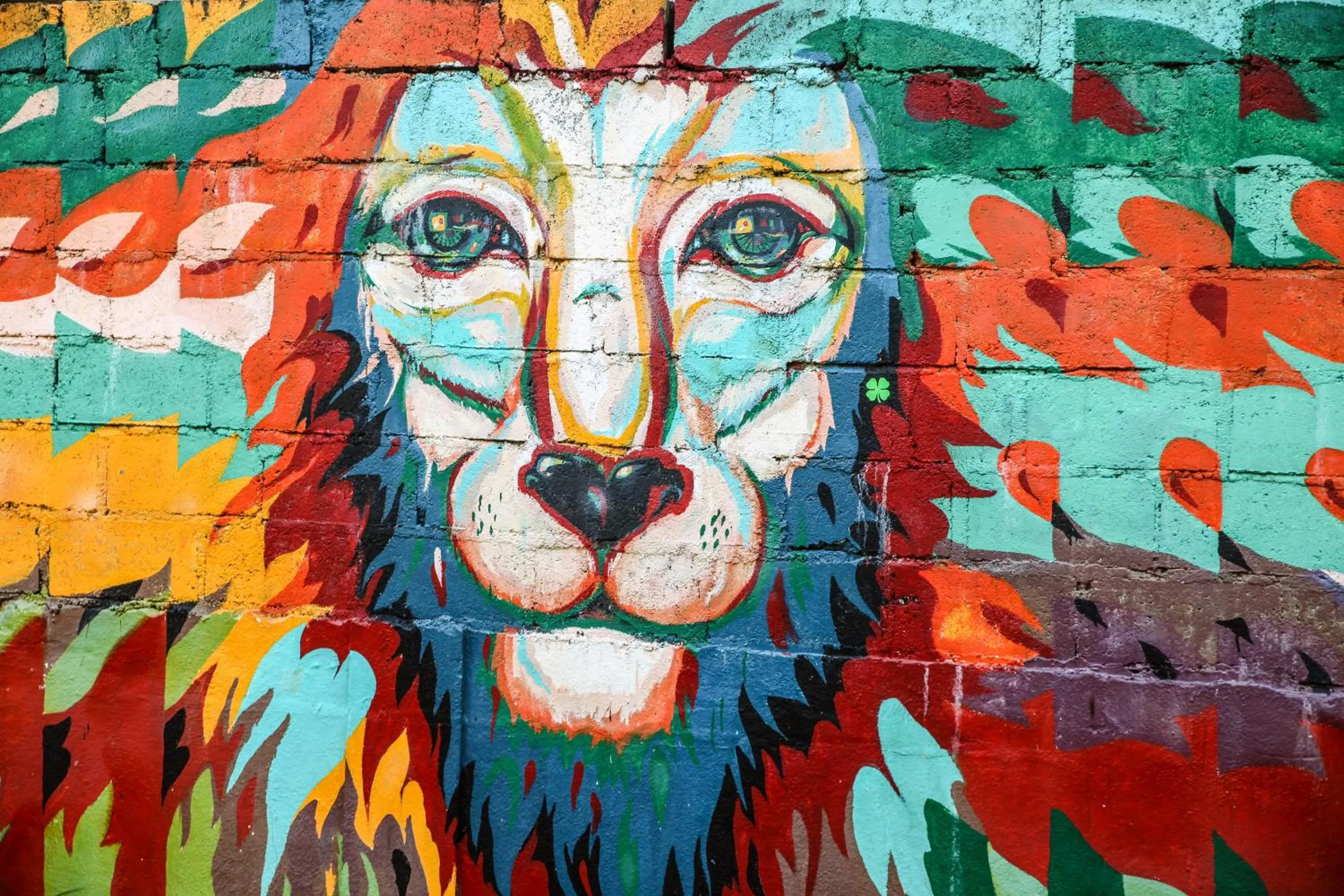 Street view in Hostel First Mirissa