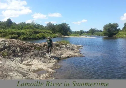 On site in Muddy Moose