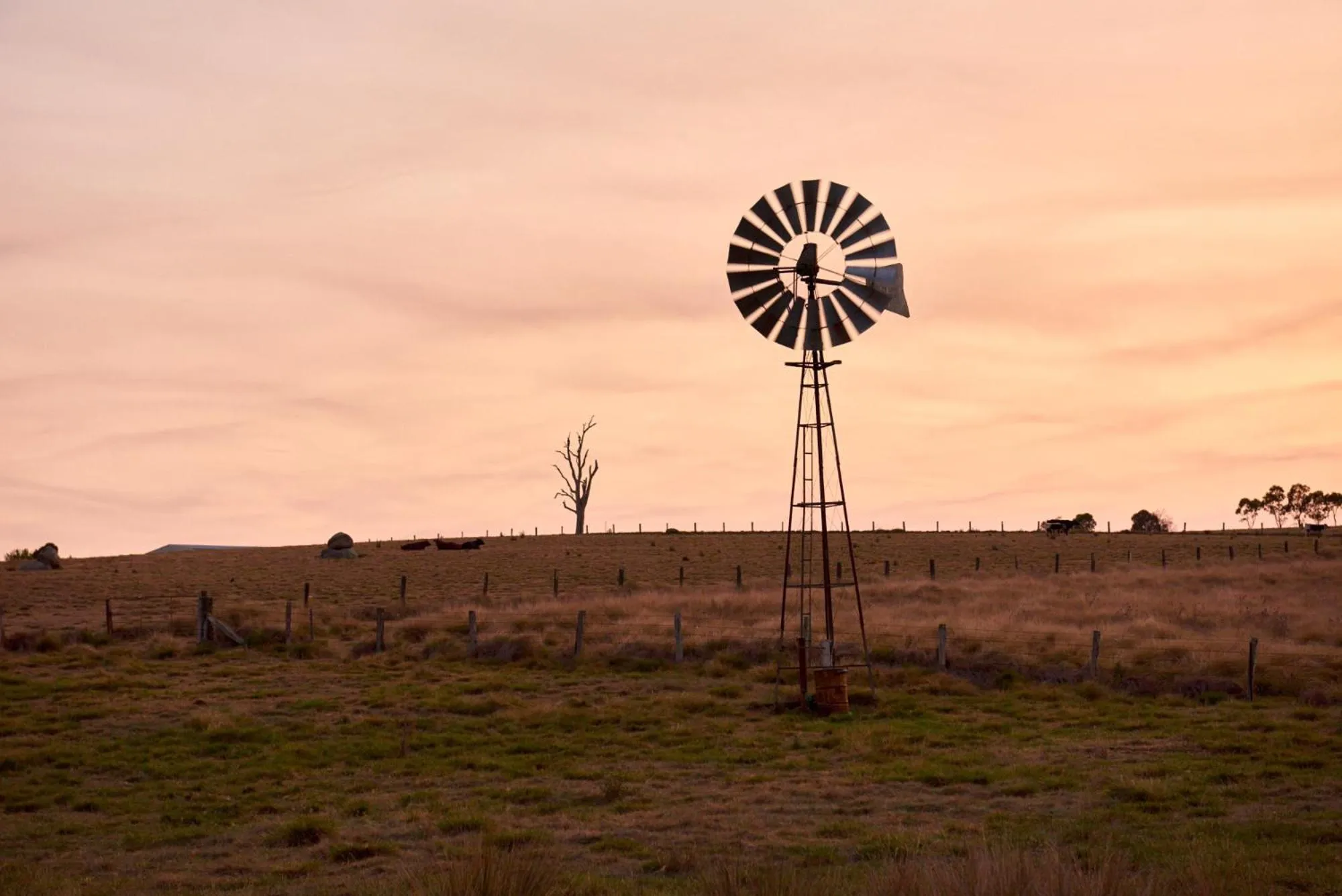 Tenterfield Lodge Caravan Park