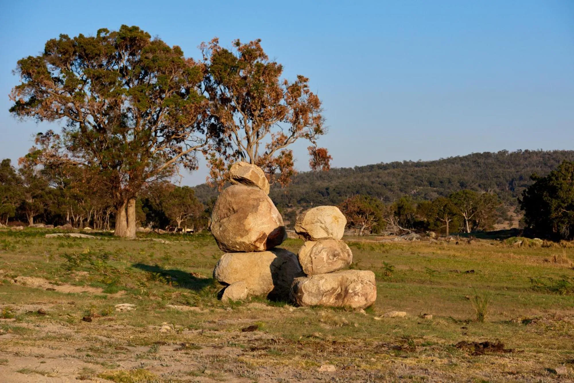 Tenterfield Lodge Caravan Park